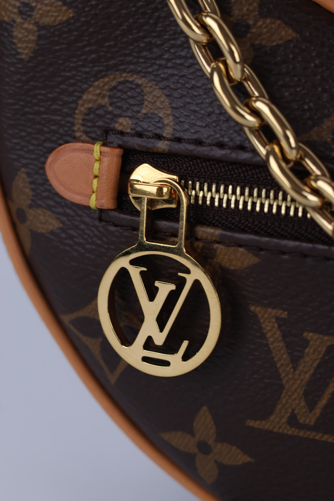 Louis Vuitton Mini Loop Monogram