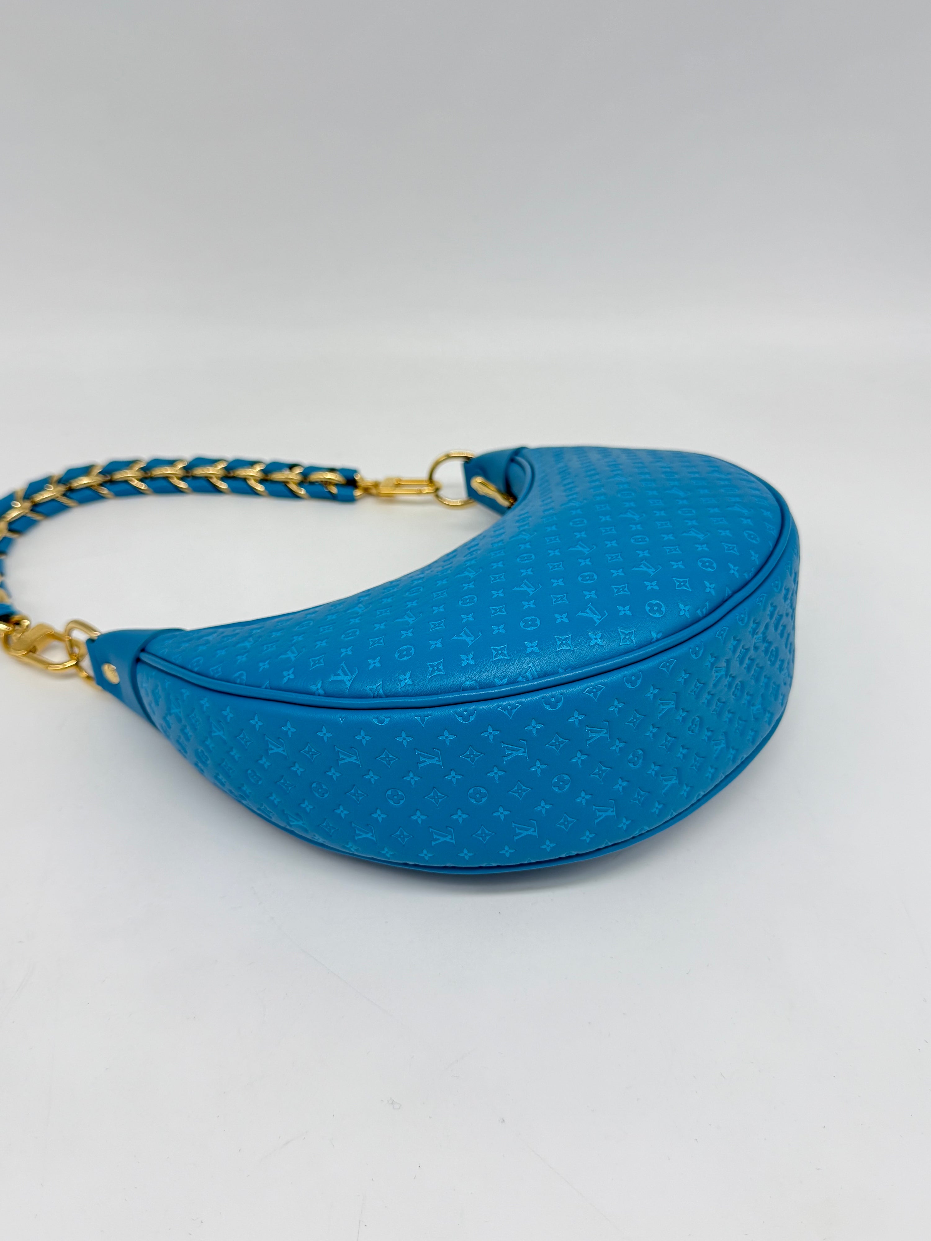 Louis Vuitton Loop Hobo Nanogram