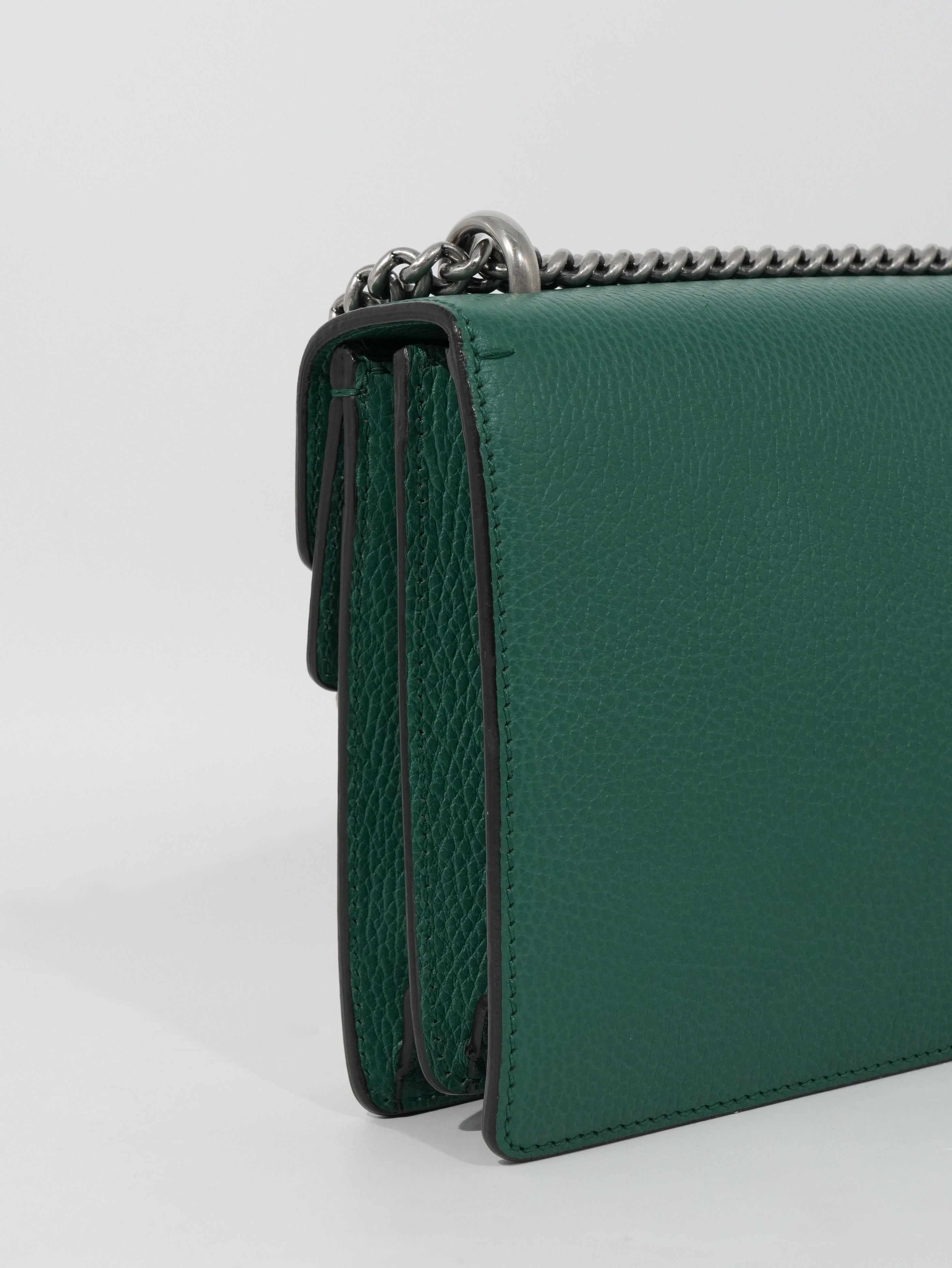 Gucci Dionysus in Pelle