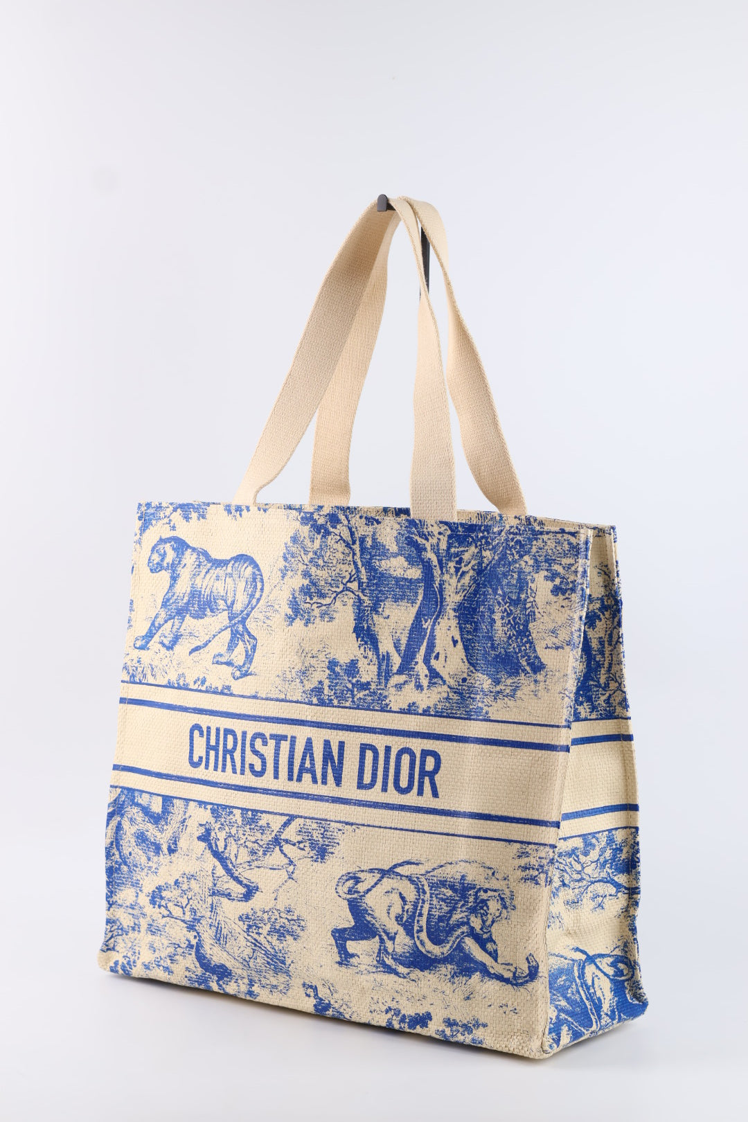 Dior Tote Riviera