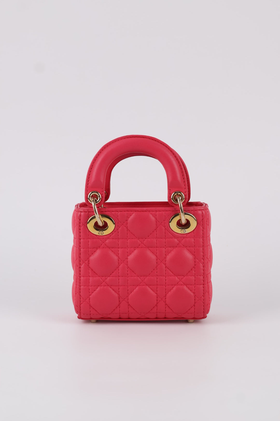 Lady Dior Micro in Pelle