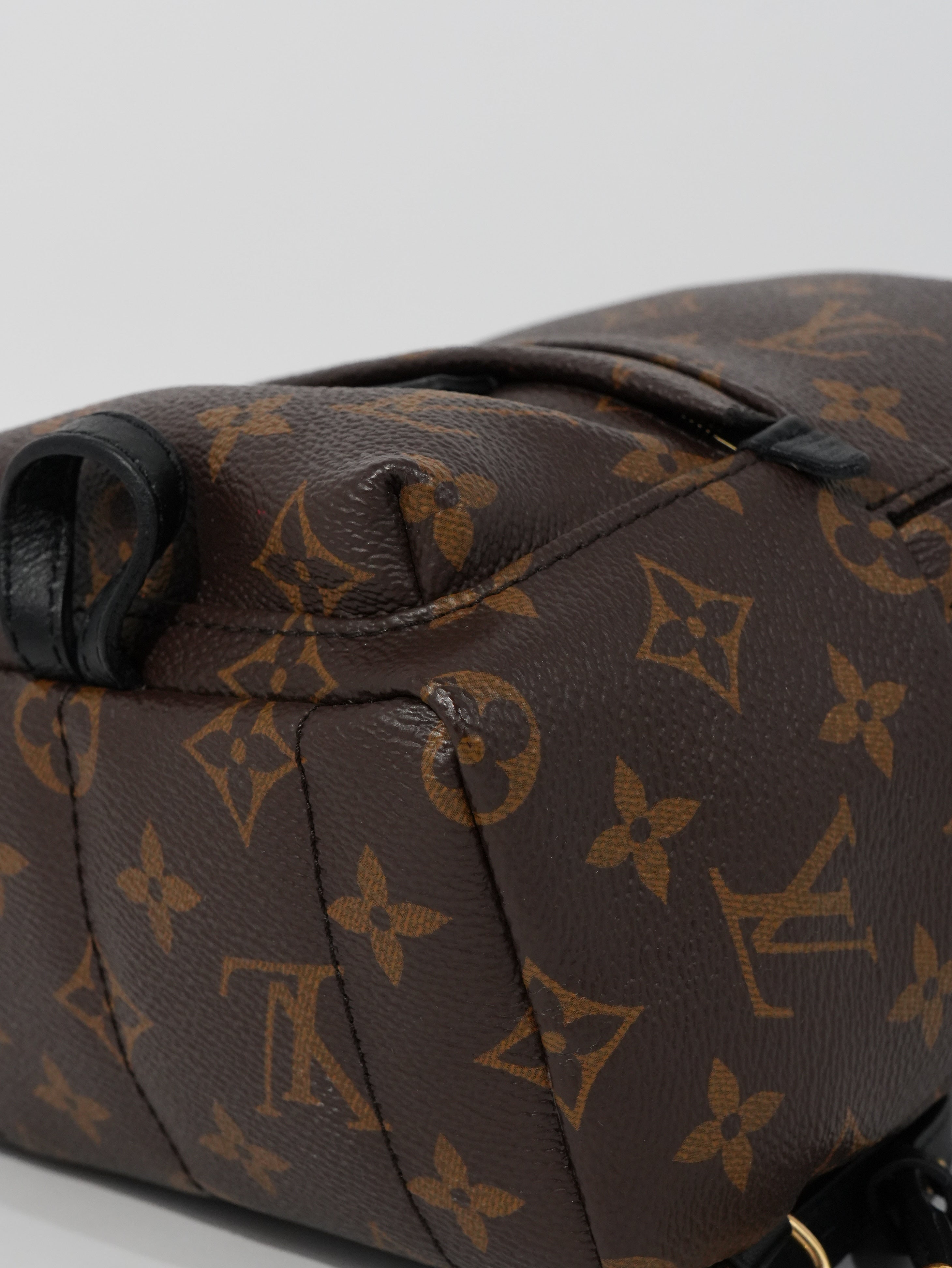 Louis Vuitton Mini Palm Spring