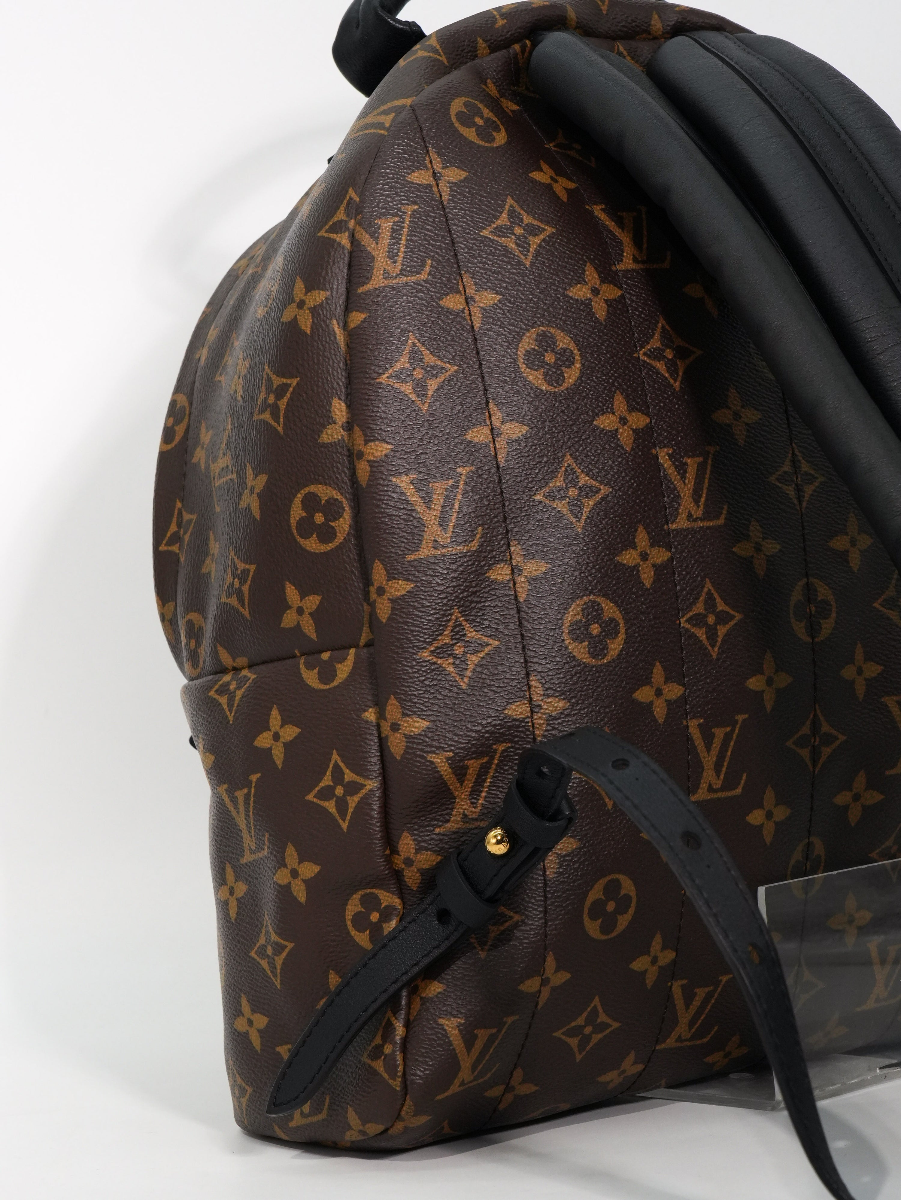 Louis Vuitton Palm Spring MM Monogram