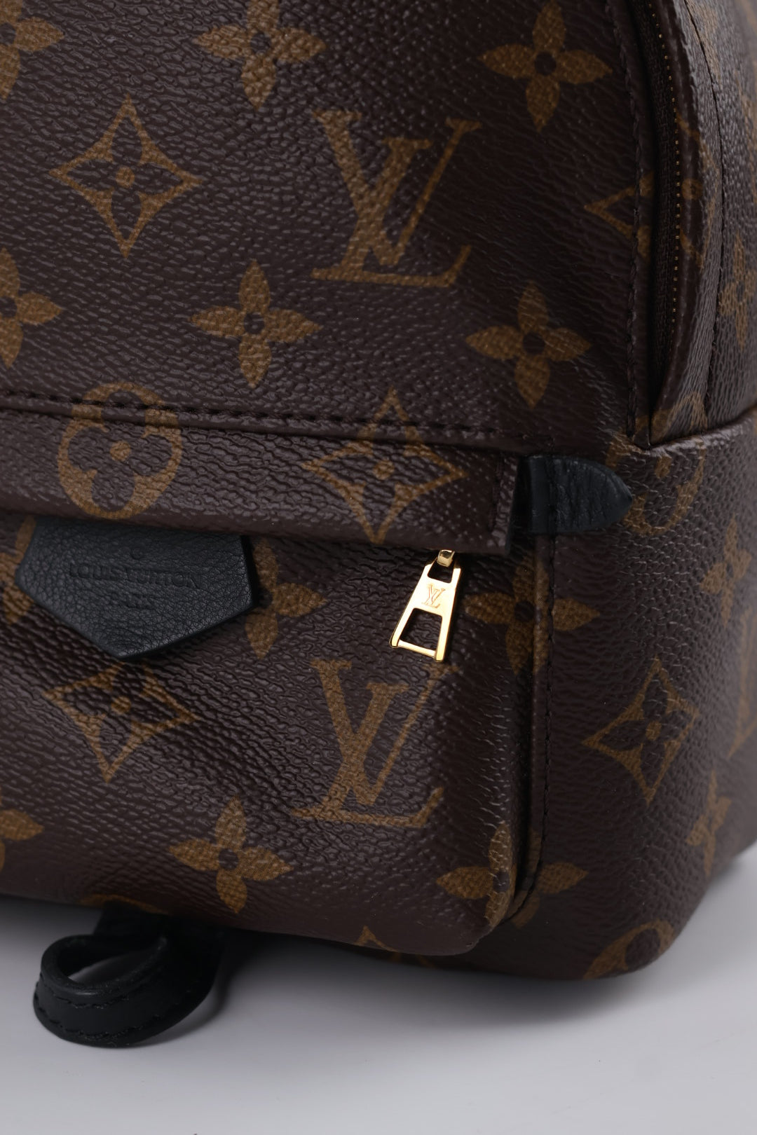 Louis Vuitton Mini Palm Spring Monogram