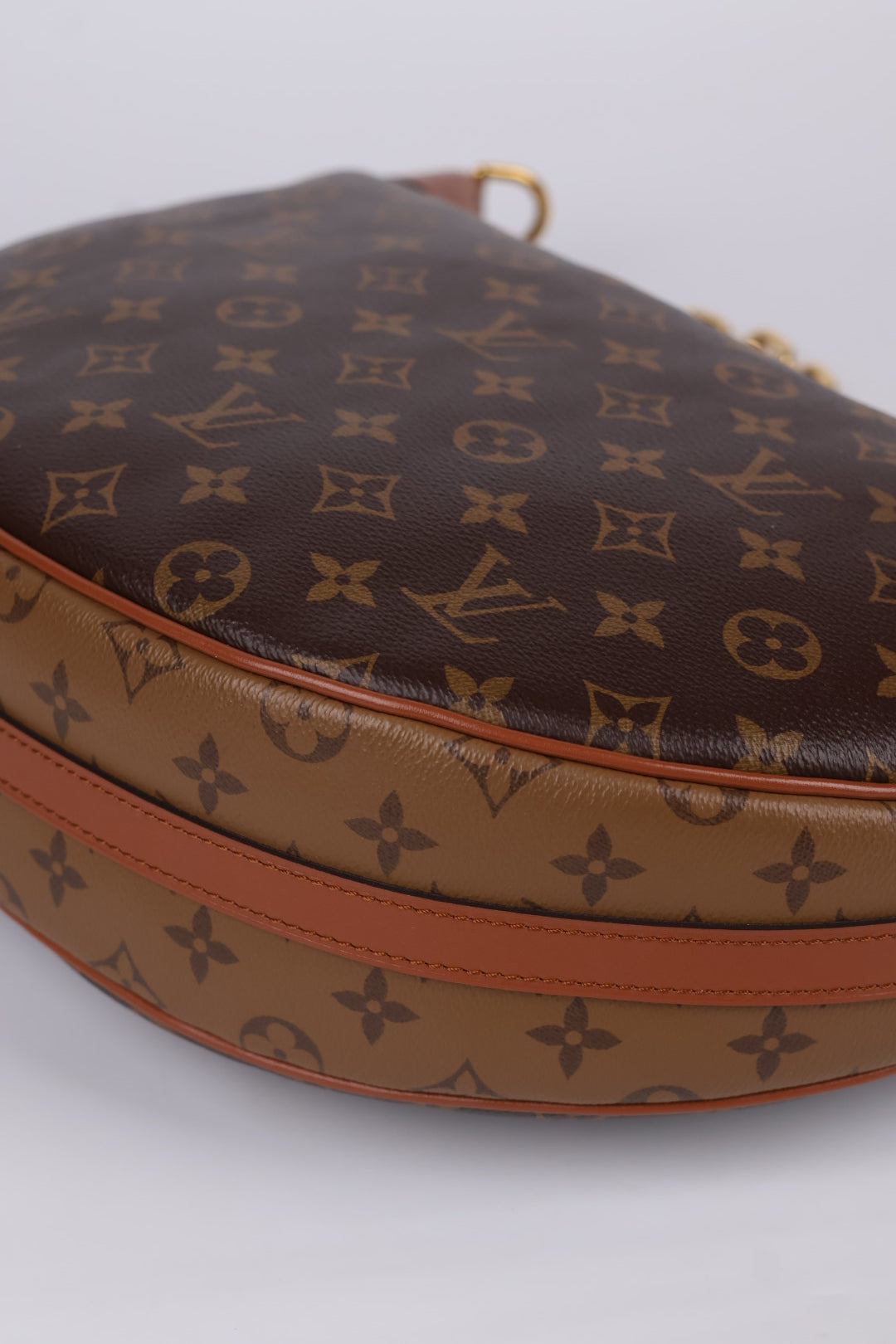 Louis Vuitton Loop Hobo Monogram