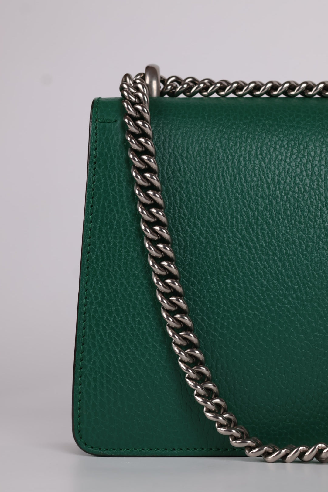 Gucci Dionysus in Pelle