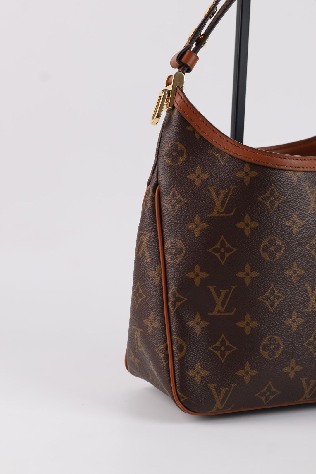 Louis Vuitton Dauphine Hobo Monogram