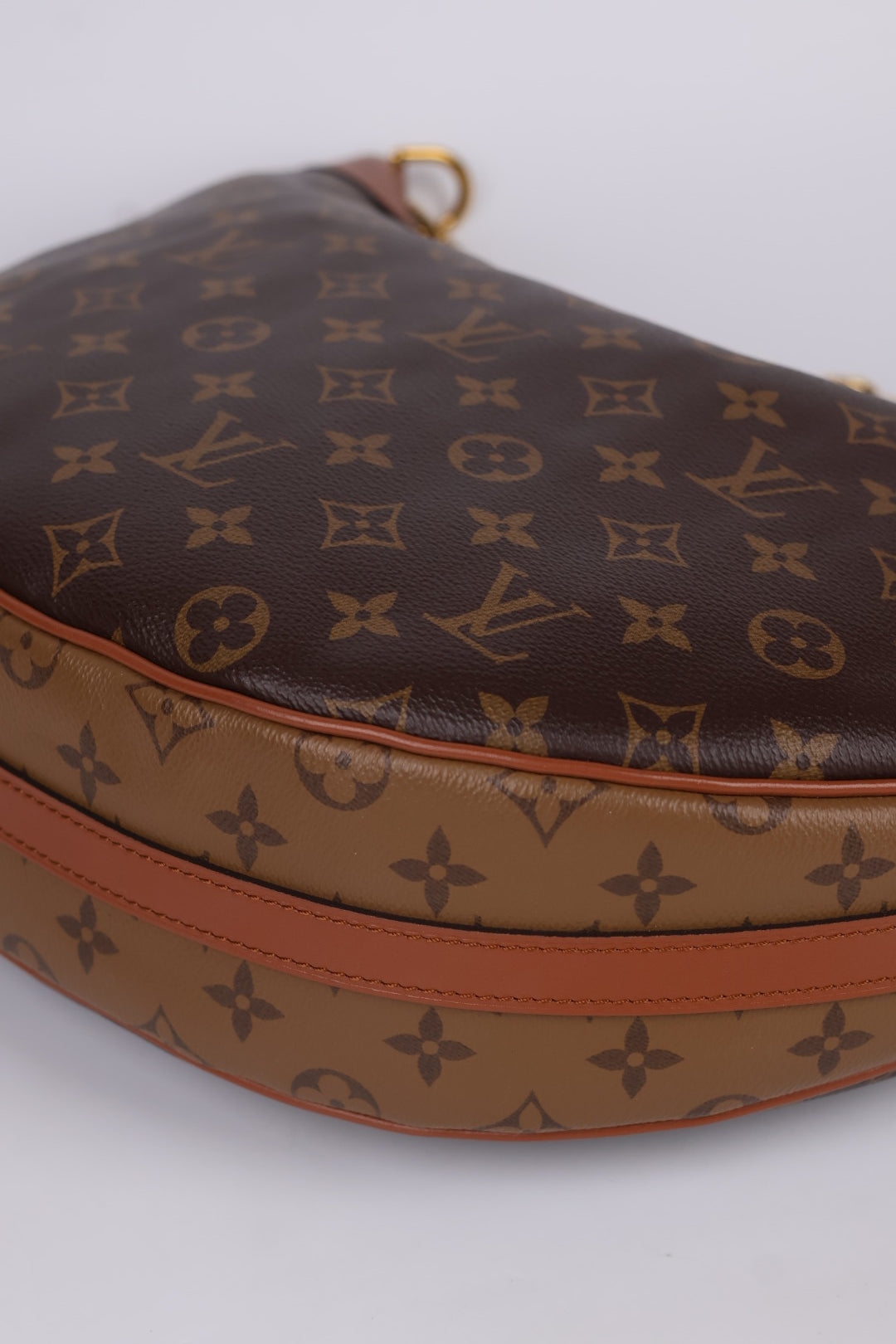 Louis Vuitton Loop Hobo Monogram