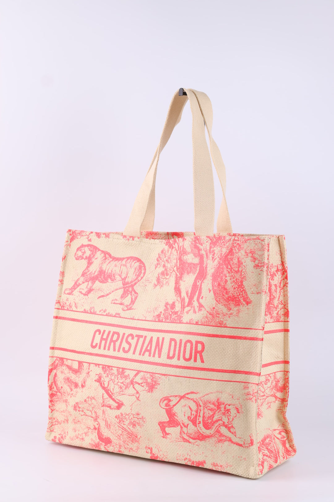 Dior Tote Riviera
