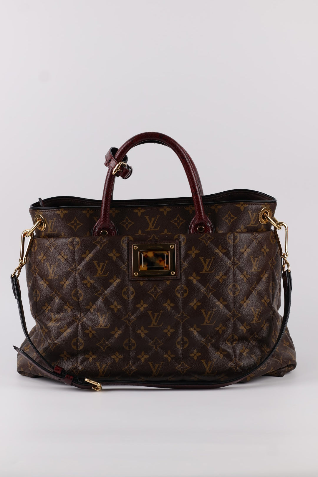 Louis Vuitton Etoile Exotique Monogram