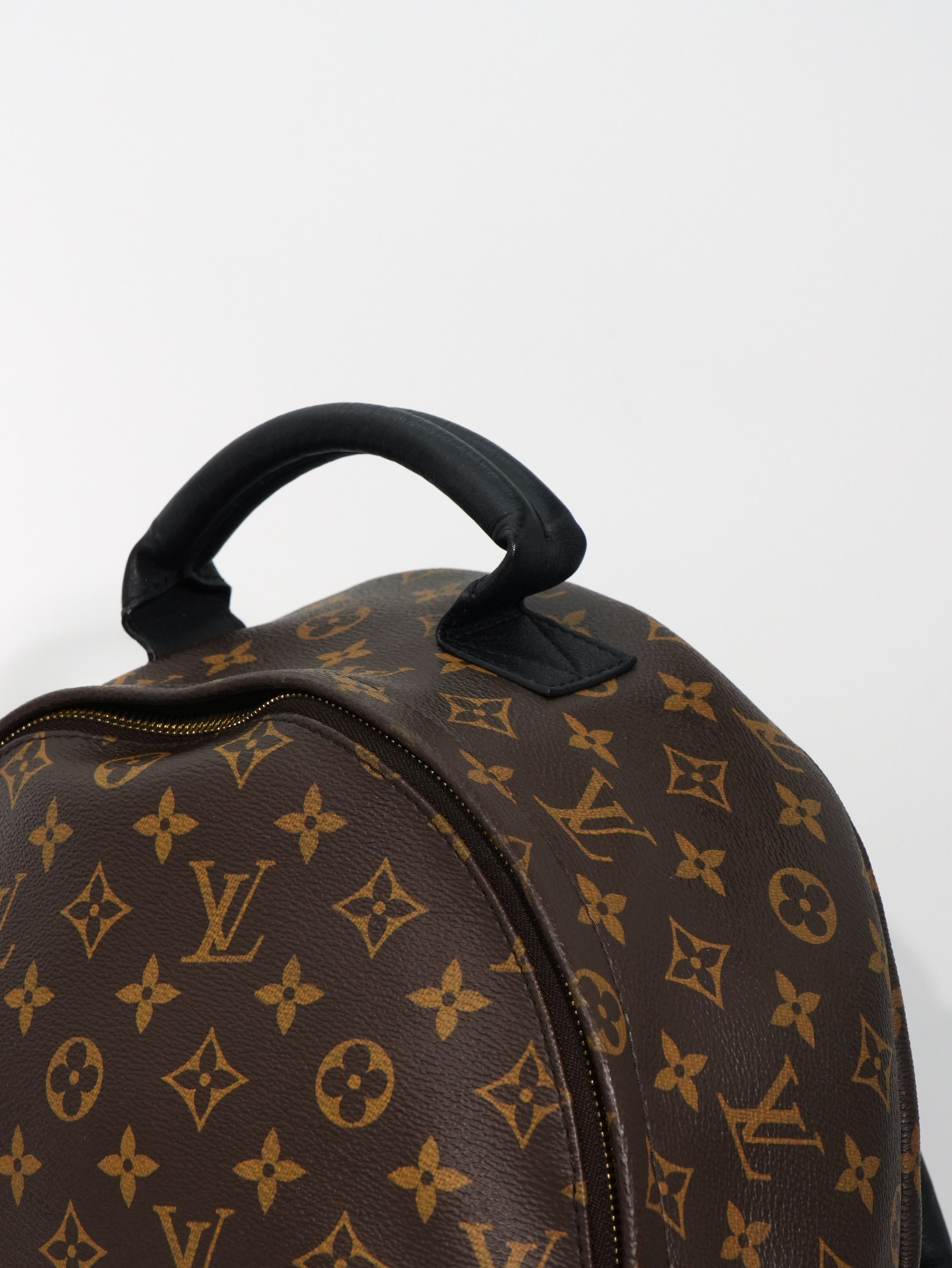 Louis Vuitton Palm Spring MM Monogram