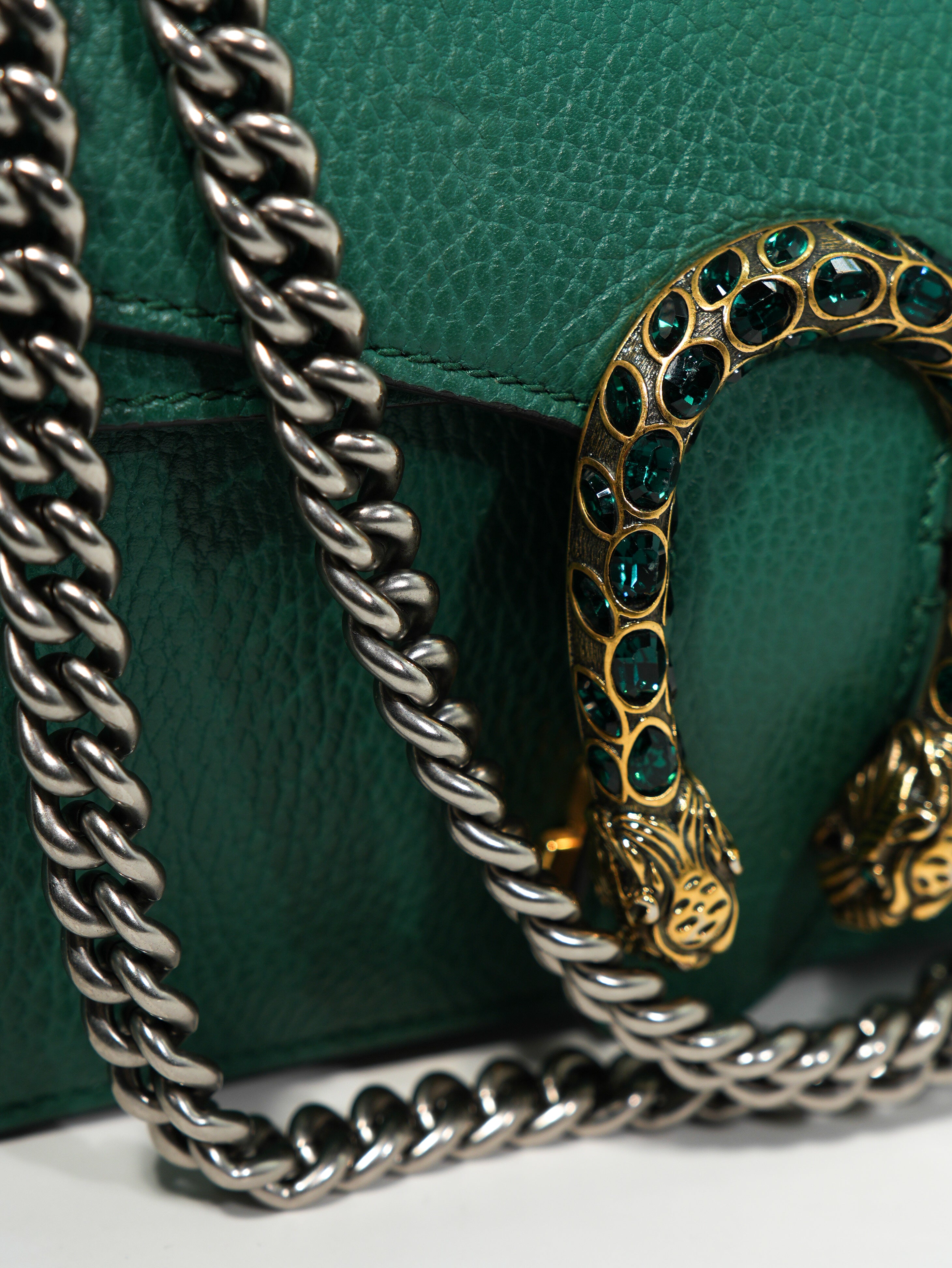 Gucci Dionysus in Pelle