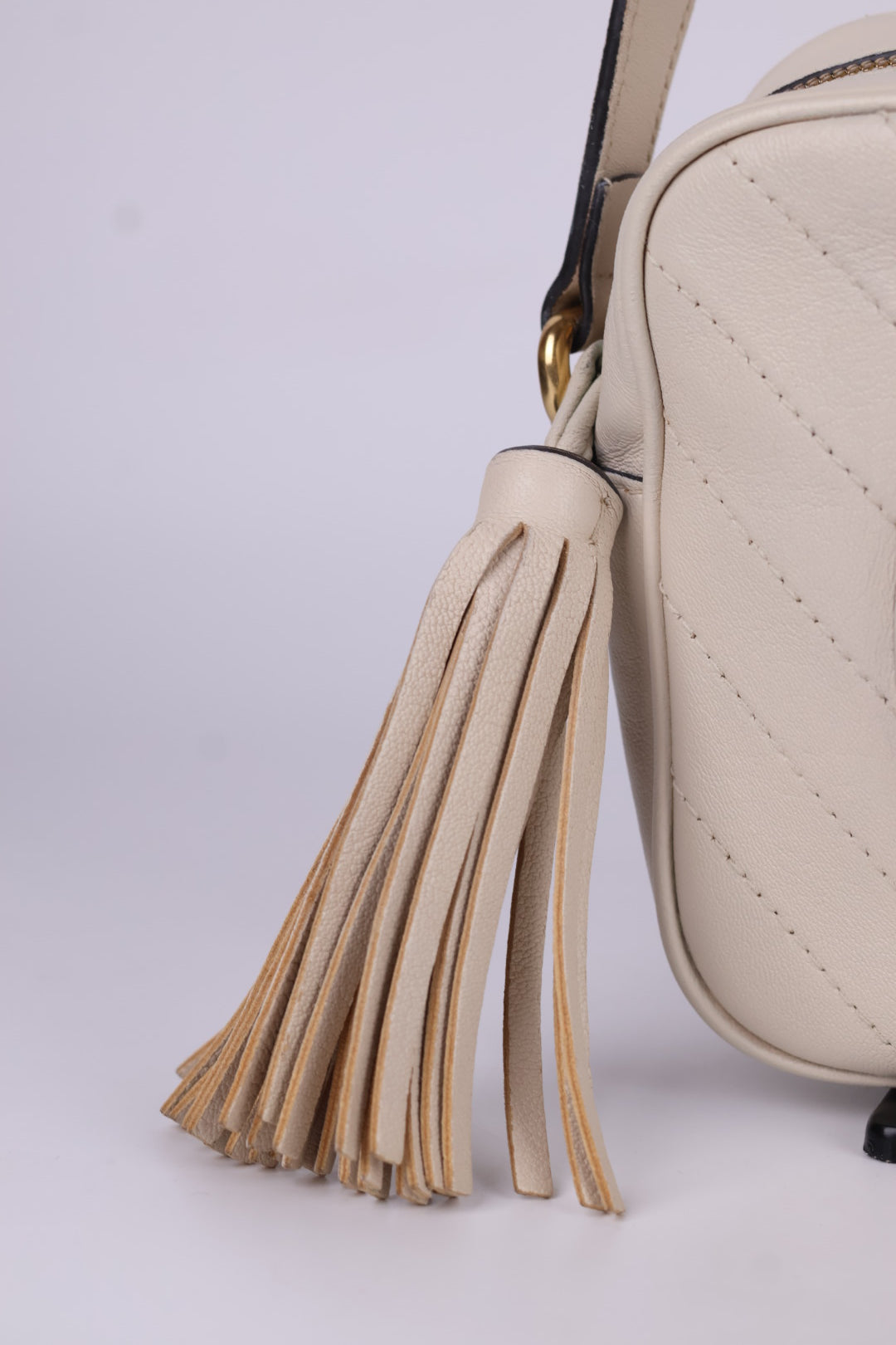 Gucci Blondie Camera Bag