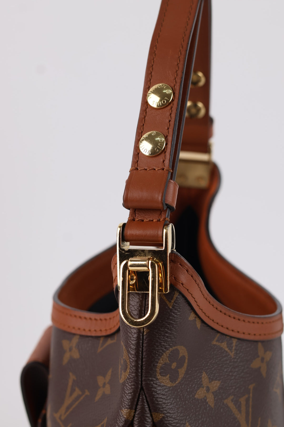 Louis Vuitton Dauphine Hobo Monogram