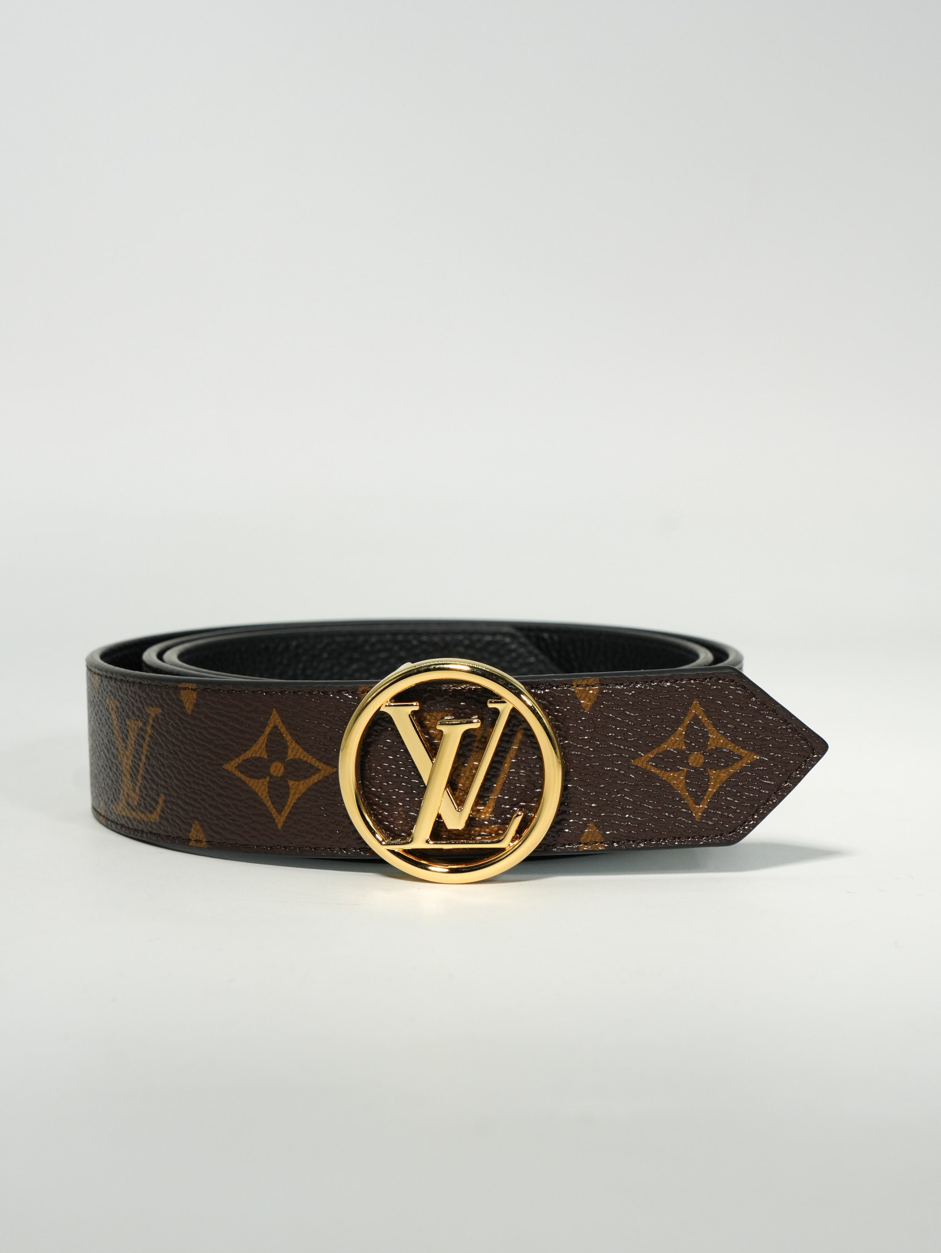 Louis Vuitton Cintura Circle Reversibile