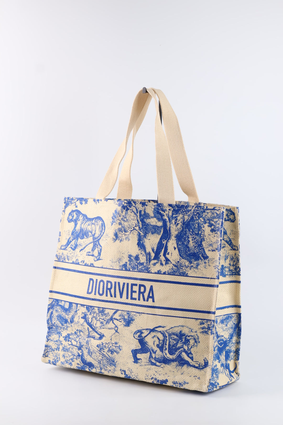 Dior Tote Riviera