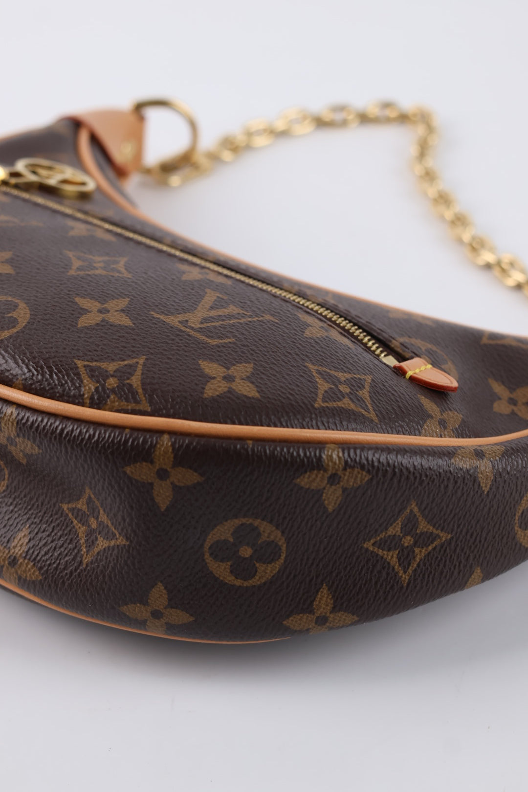 Louis Vuitton Loop Monogram