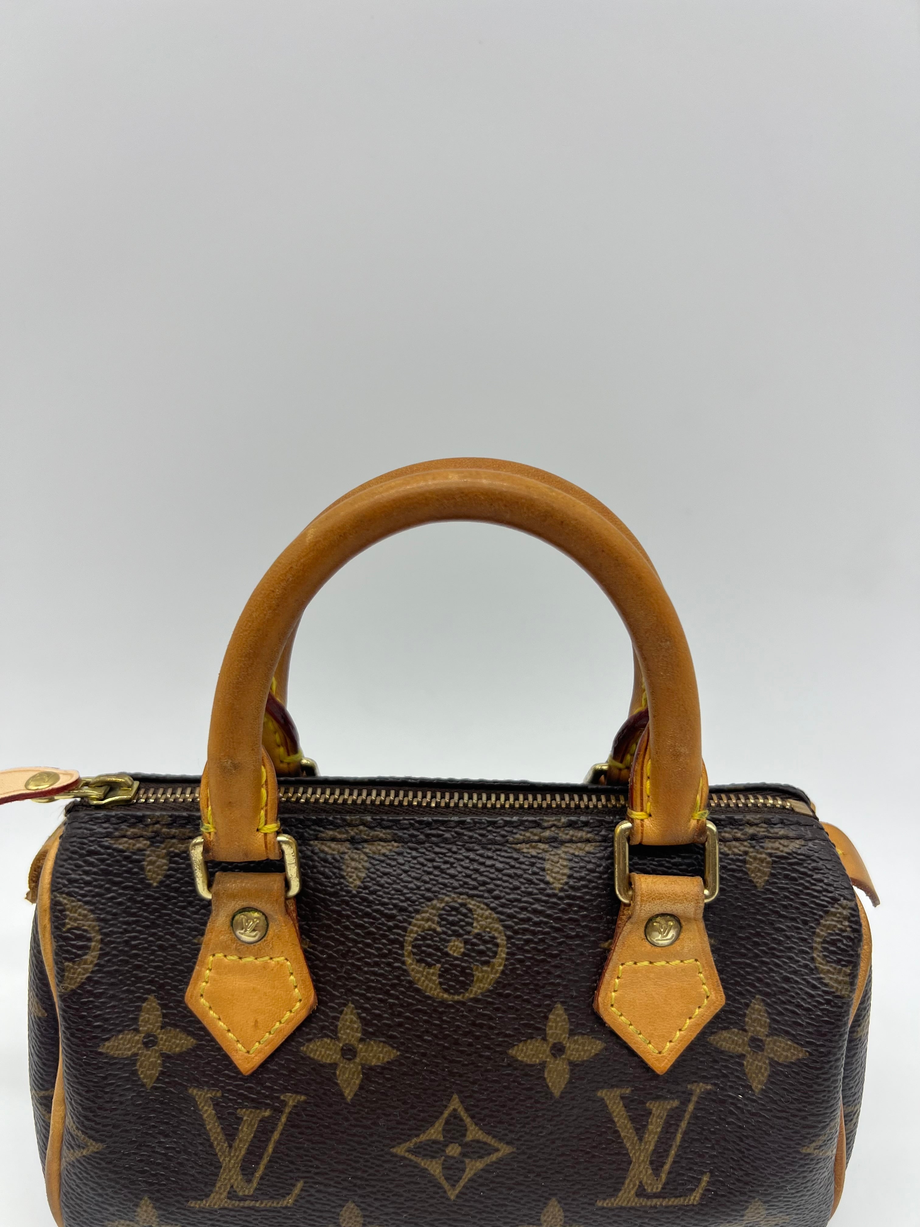 Louis Vuitton Nano Speedy Monogram