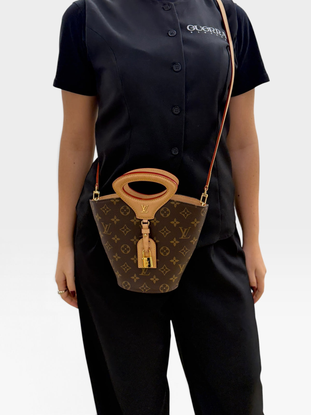Louis Vuitton Rivage BB Monogram
