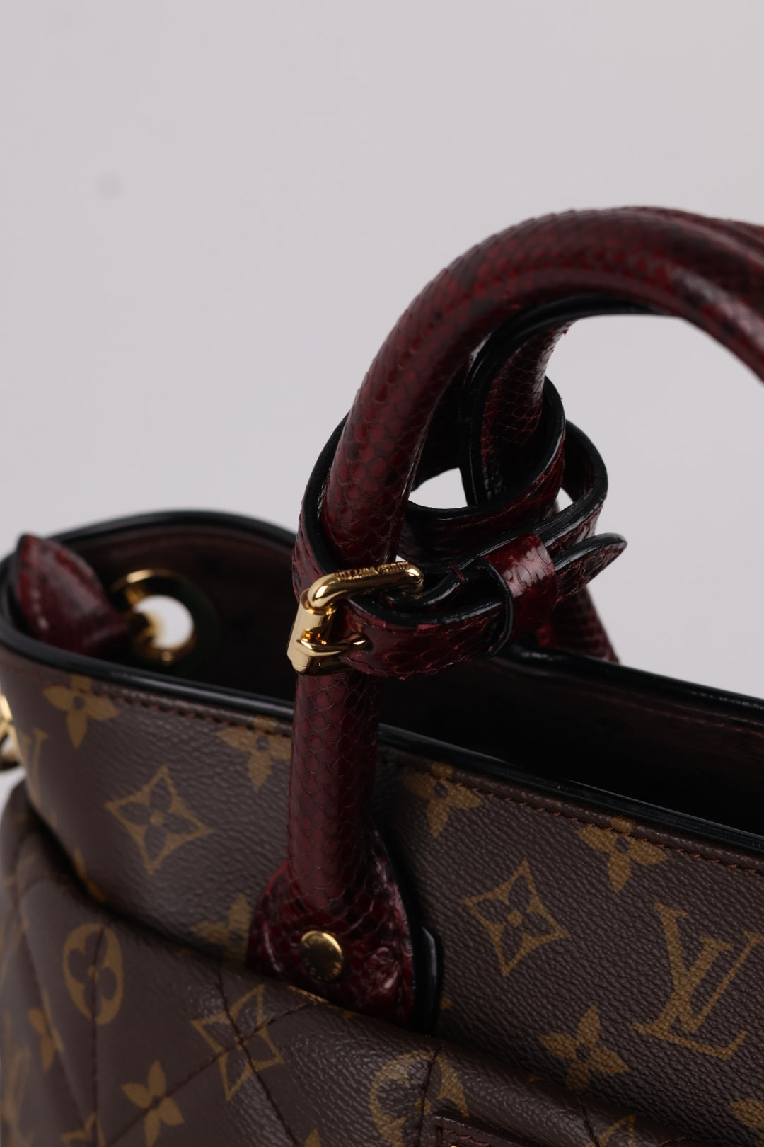 Louis Vuitton Etoile Exotique Monogram