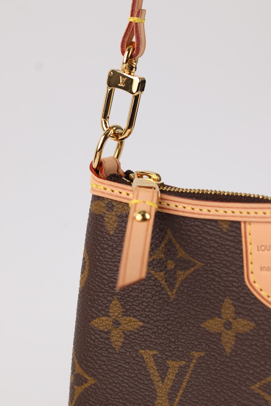 Louis Vuitton Pochette Delightful Monogram