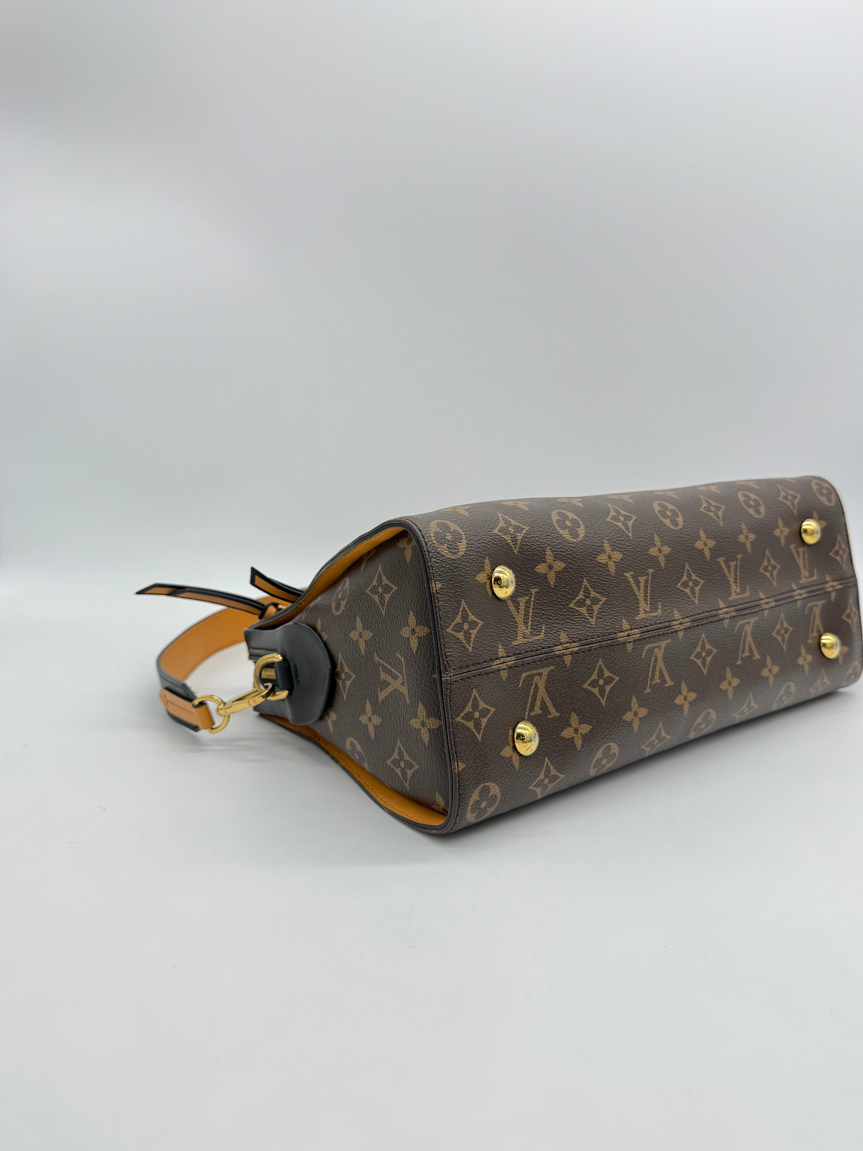Louis Vuitton Tuileries Monogram