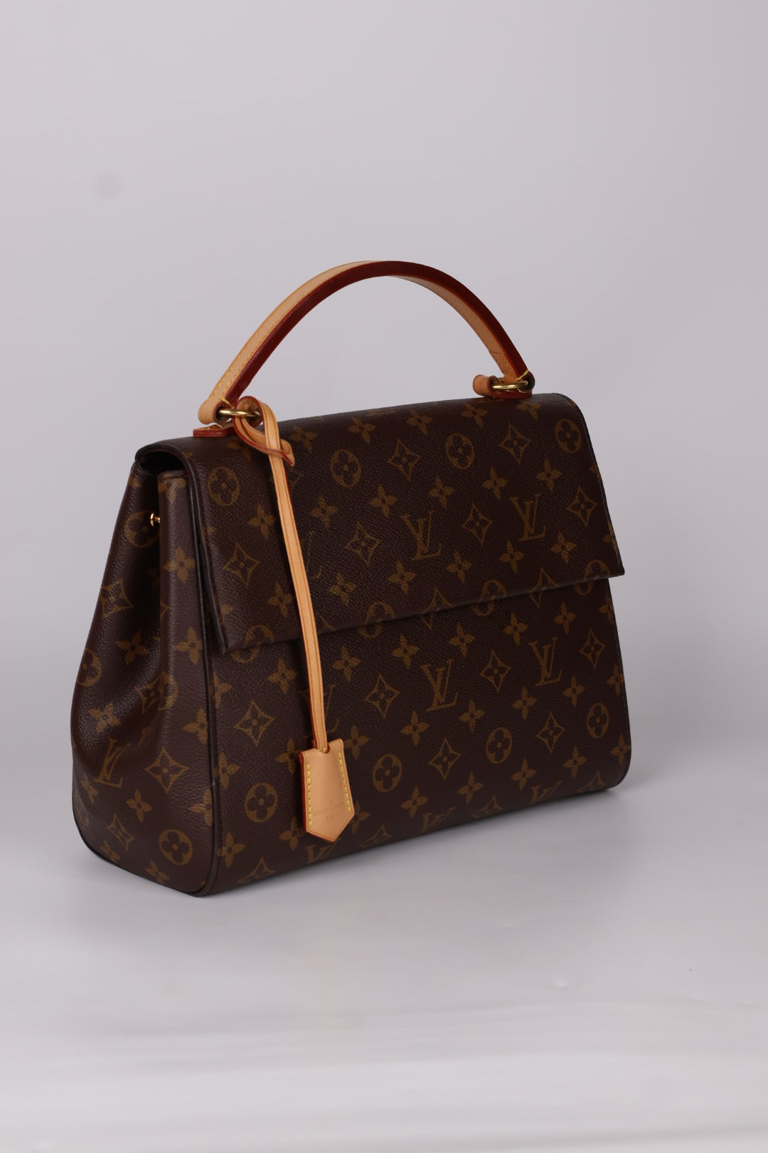 Louis Vuitton Cluny MM Monogram