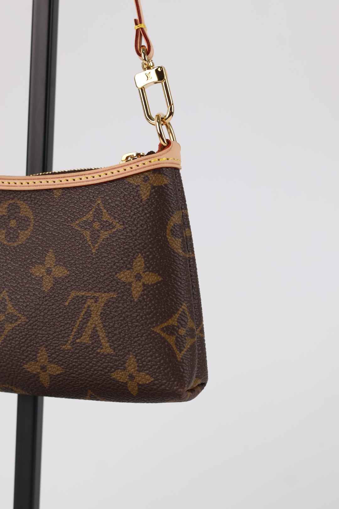 Louis Vuitton Pochette Delightful Monogram