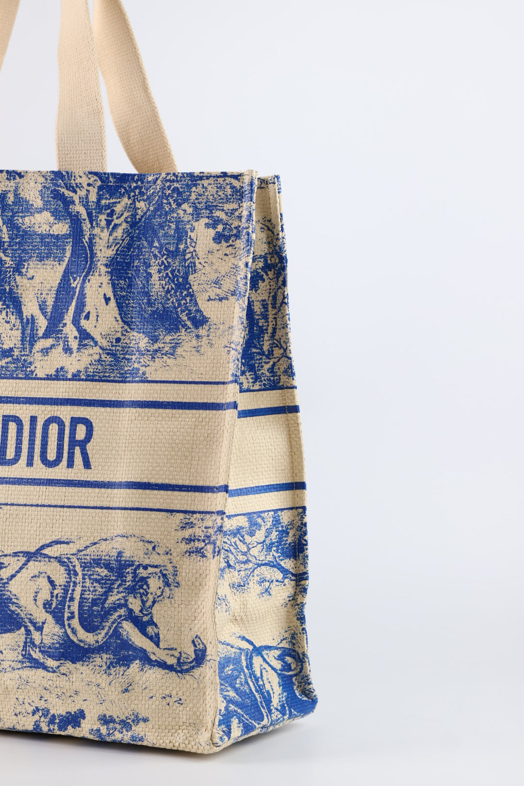 Dior Tote Riviera