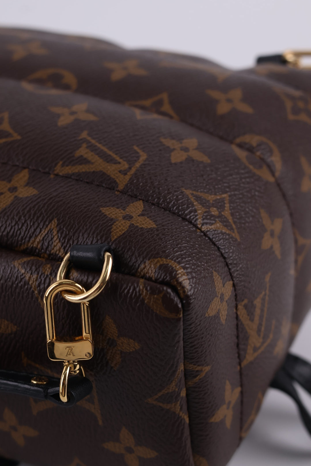 Louis Vuitton Mini Palm Spring Monogram