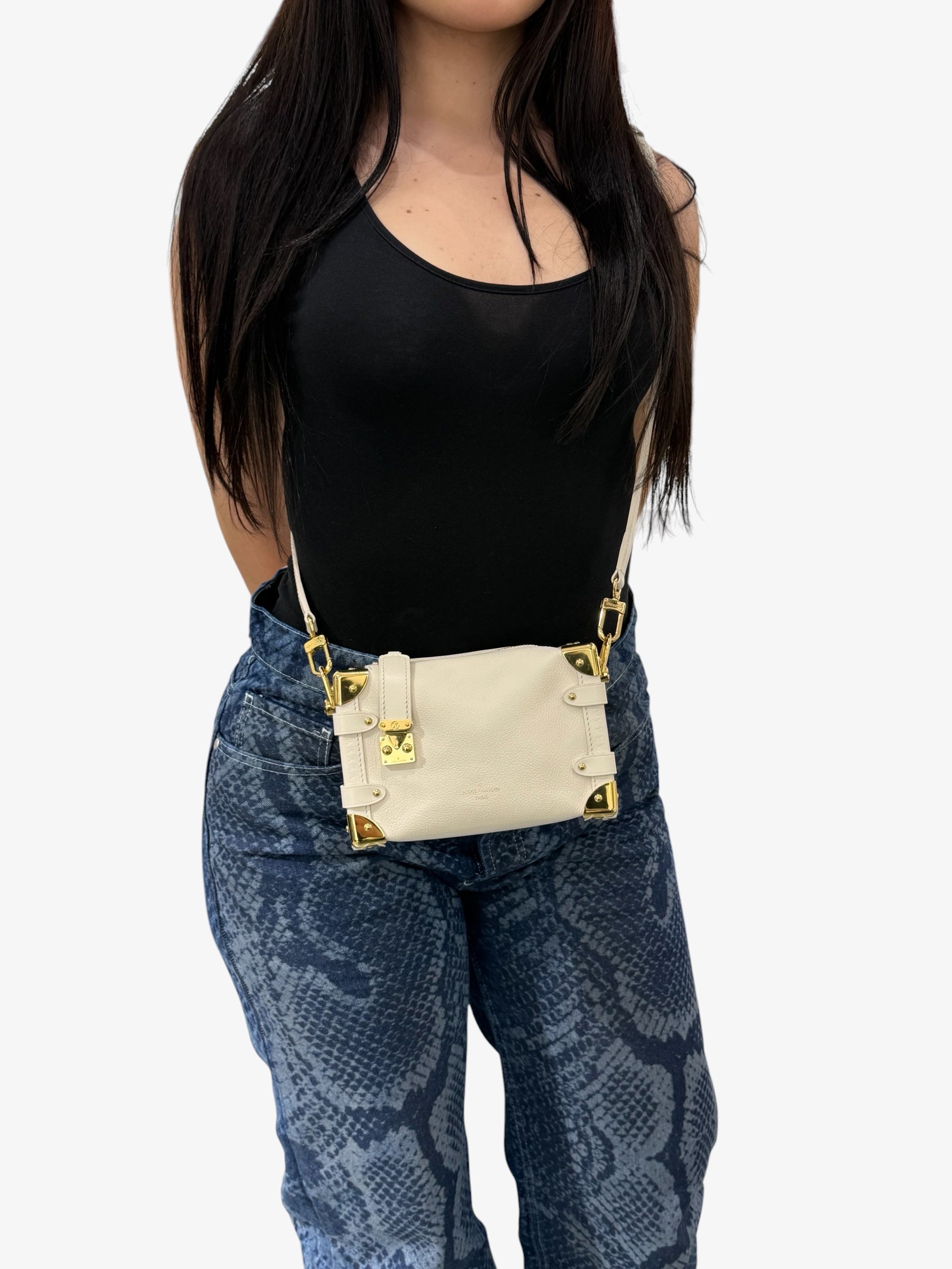 Louis Vuitton Side Trunk Pm in Pelle