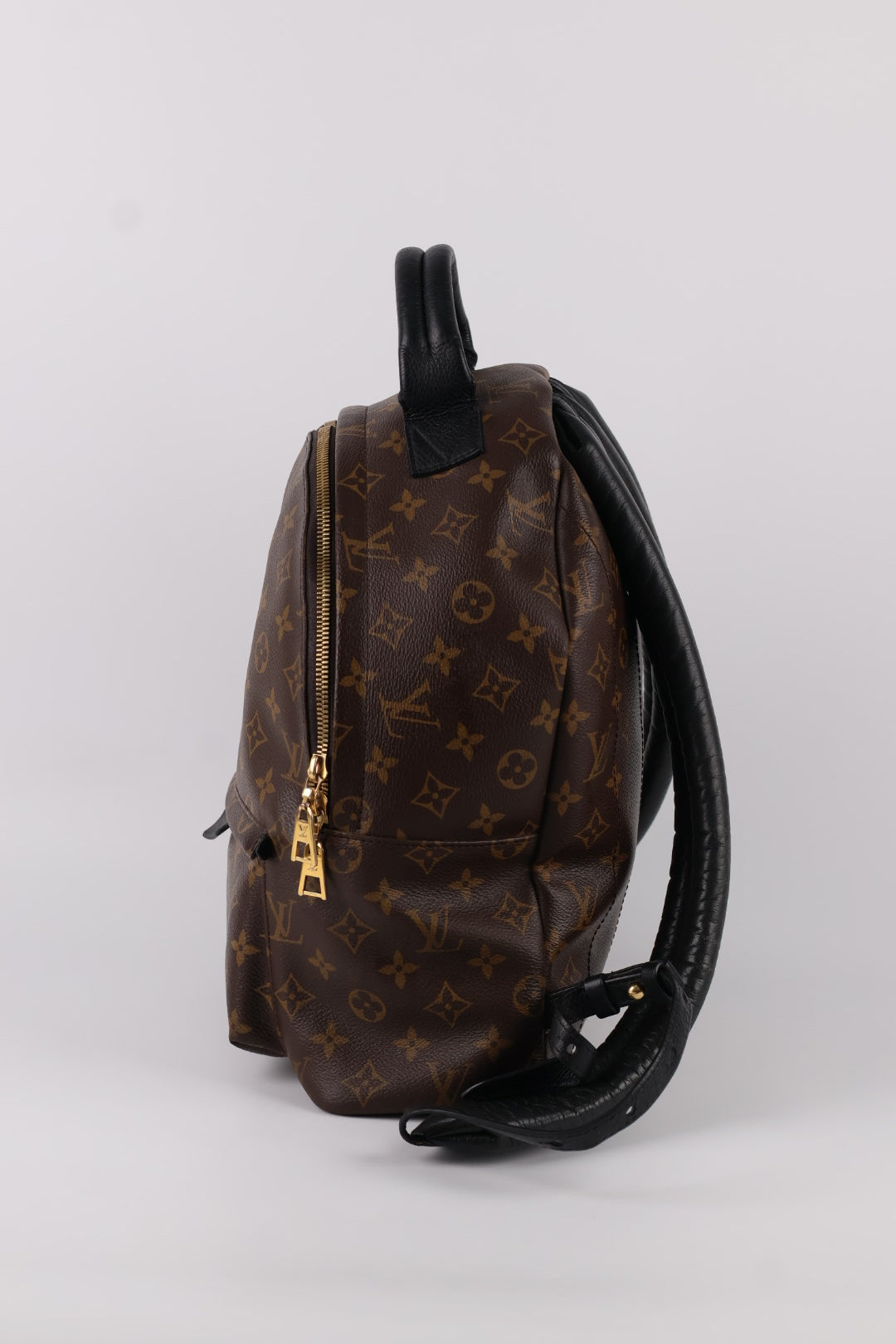 Louis Vuitton Palm Spring MM Monogram