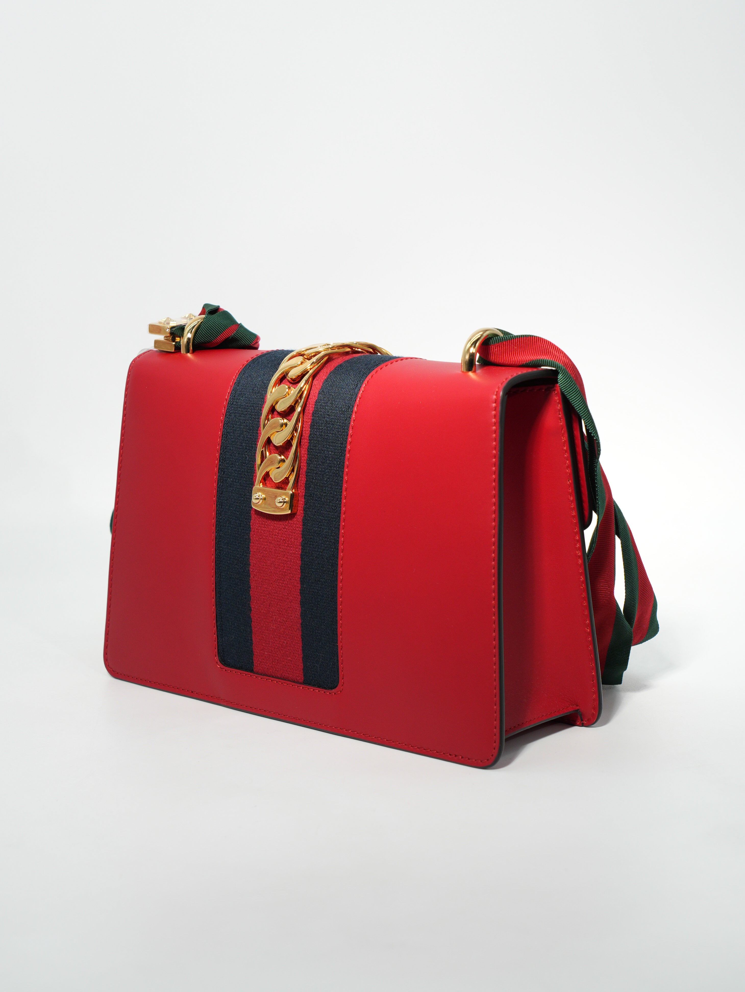 Gucci Sylvie in Pelle