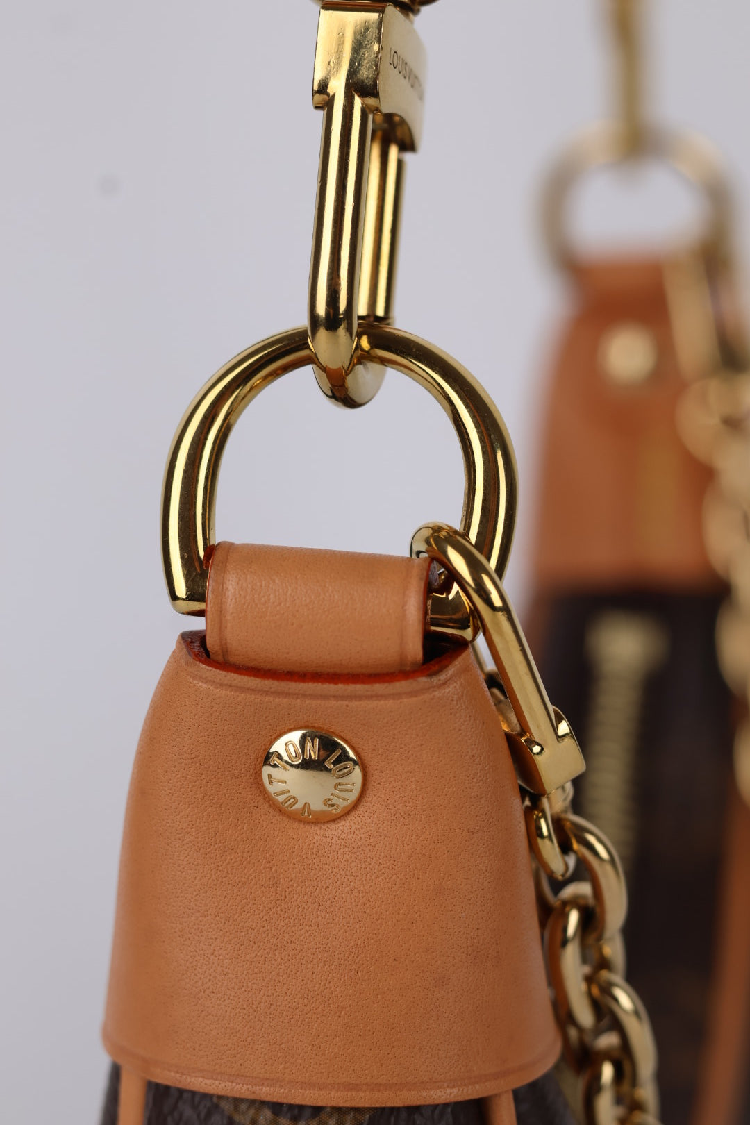 Louis Vuitton Mini Loop Monogram