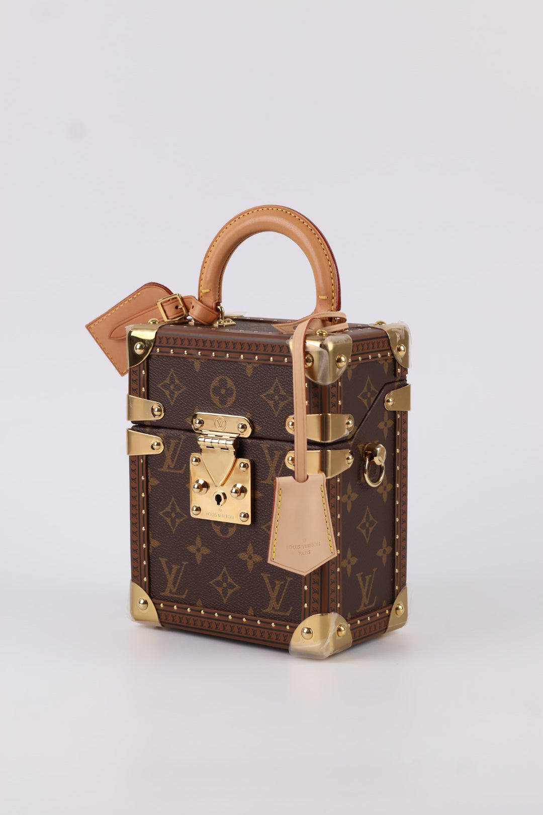 Louis Vuitton Camera Box Monogram