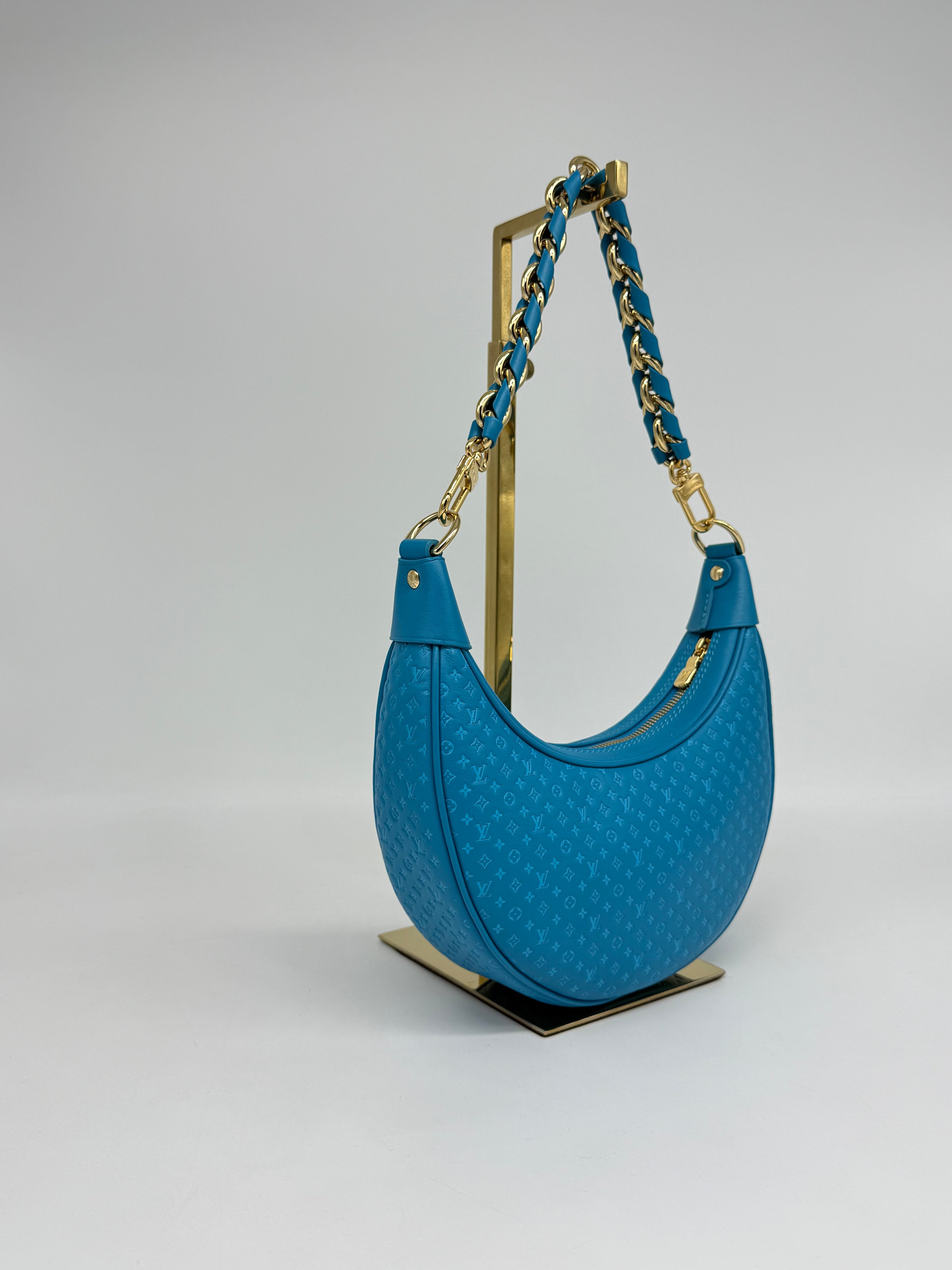 Louis Vuitton Loop Hobo Nanogram