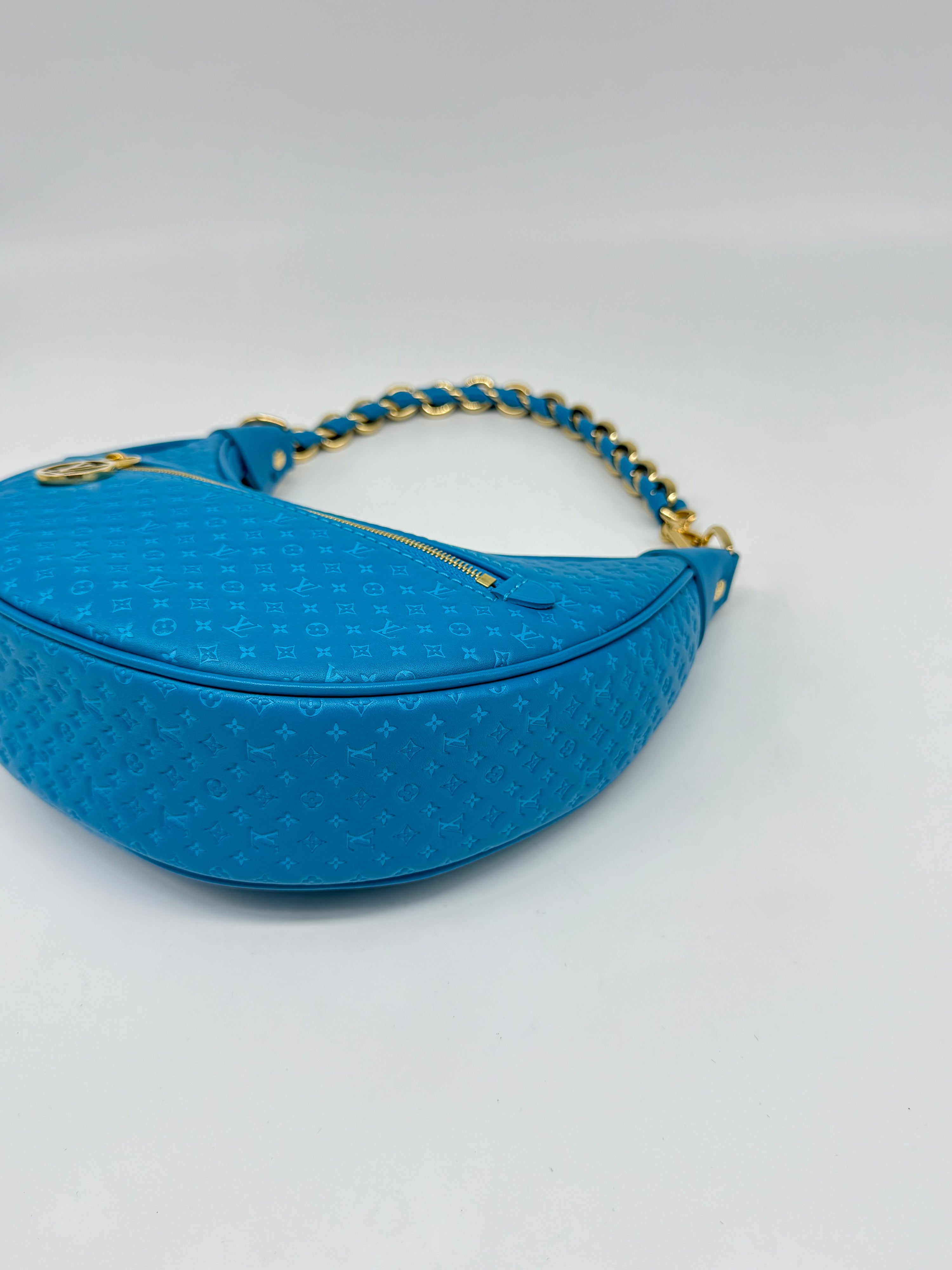 Louis Vuitton Loop Hobo Nanogram