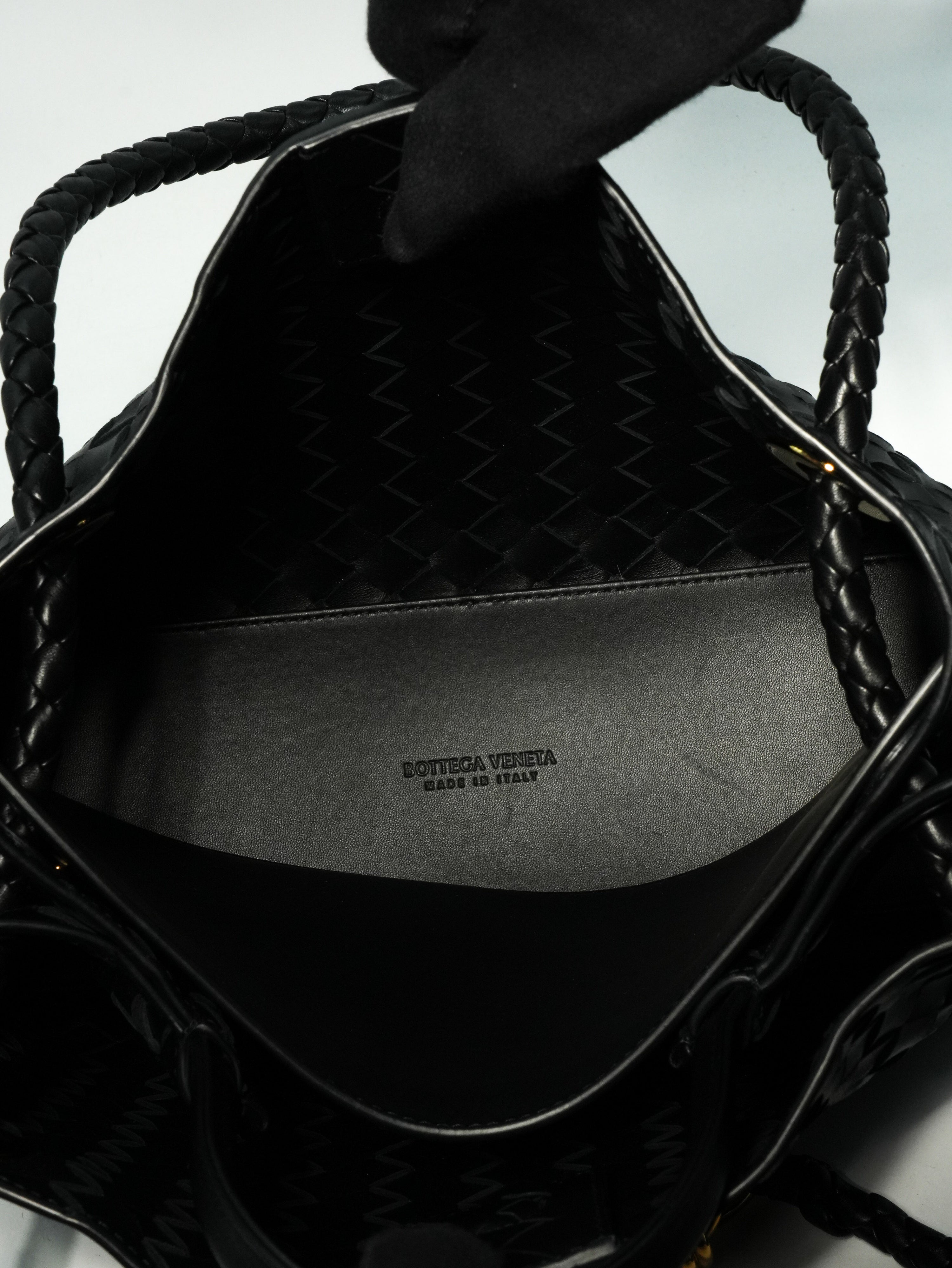 Bottega Veneta Andiamo Media