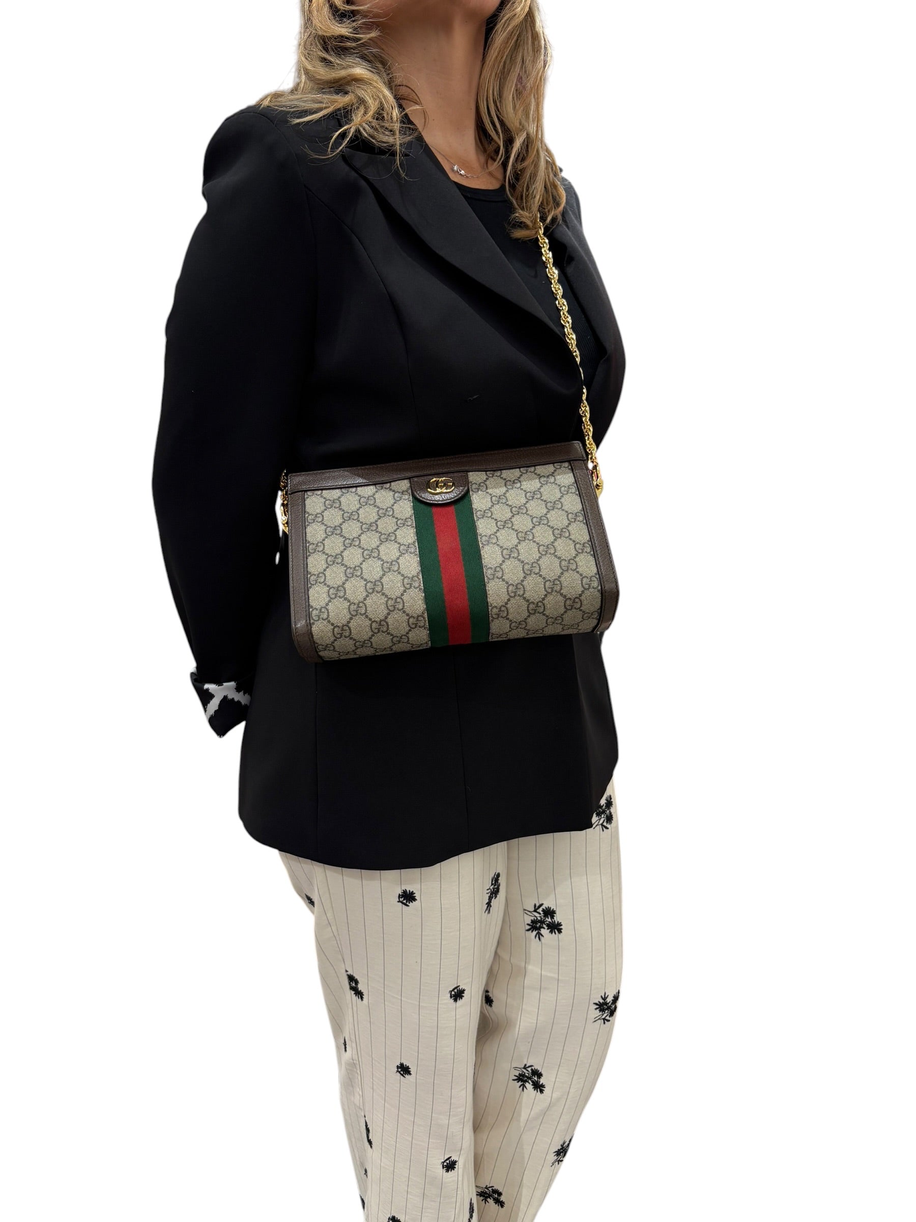 Gucci Ophidia Chain GG Supreme