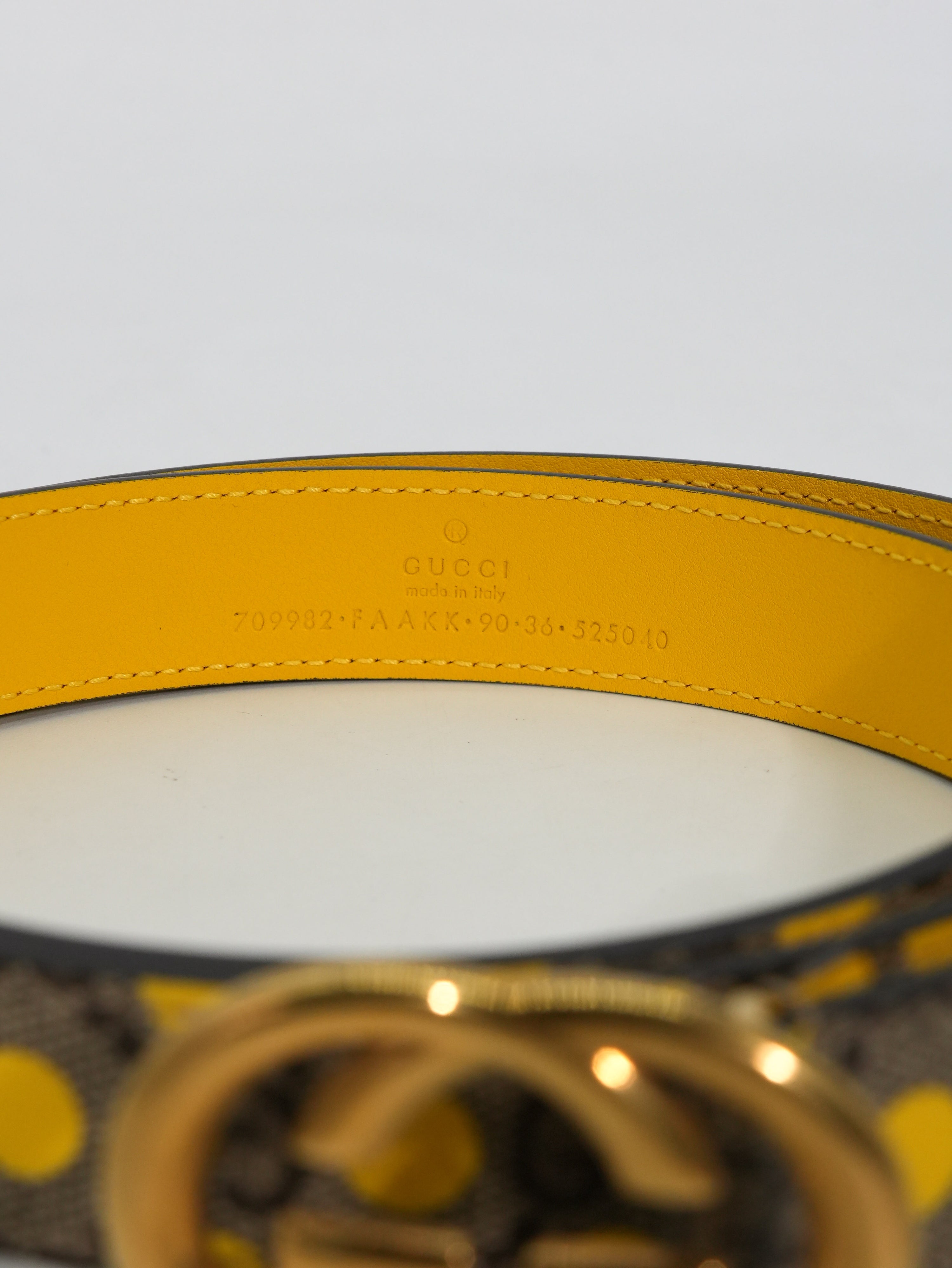 Gucci Cintura GG Supreme Pois