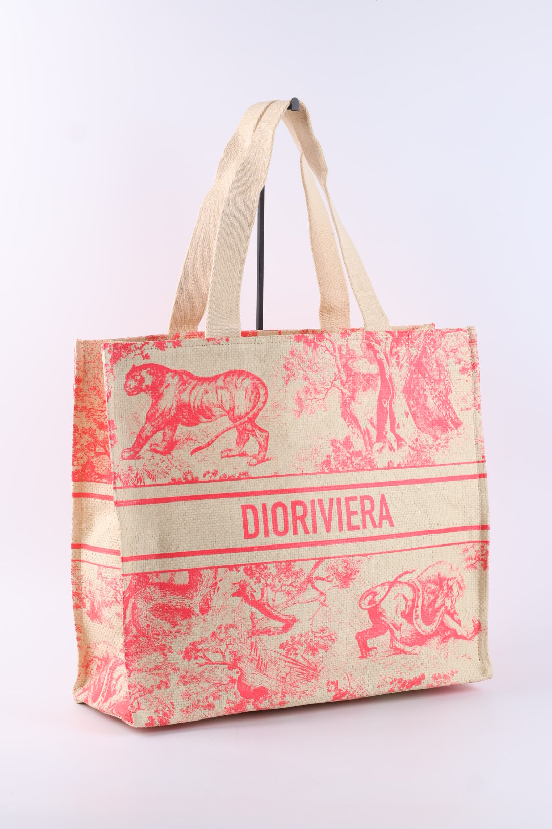 Dior Tote Riviera