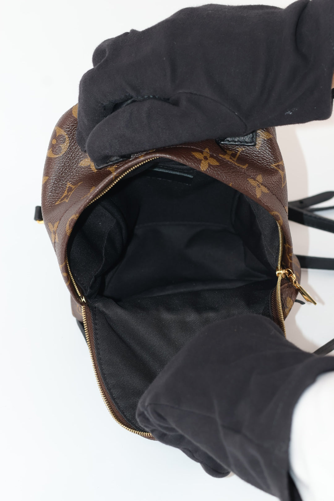 Louis Vuitton Mini Palm Spring Monogram