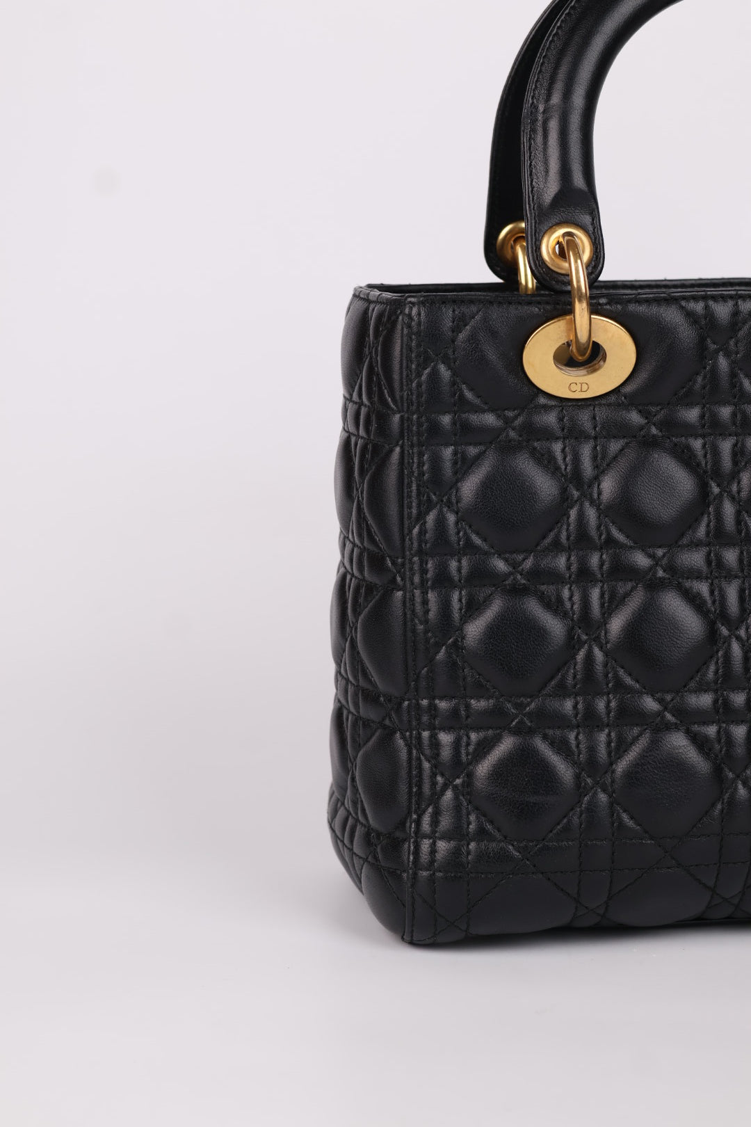 Lady Dior Meda in Pelle