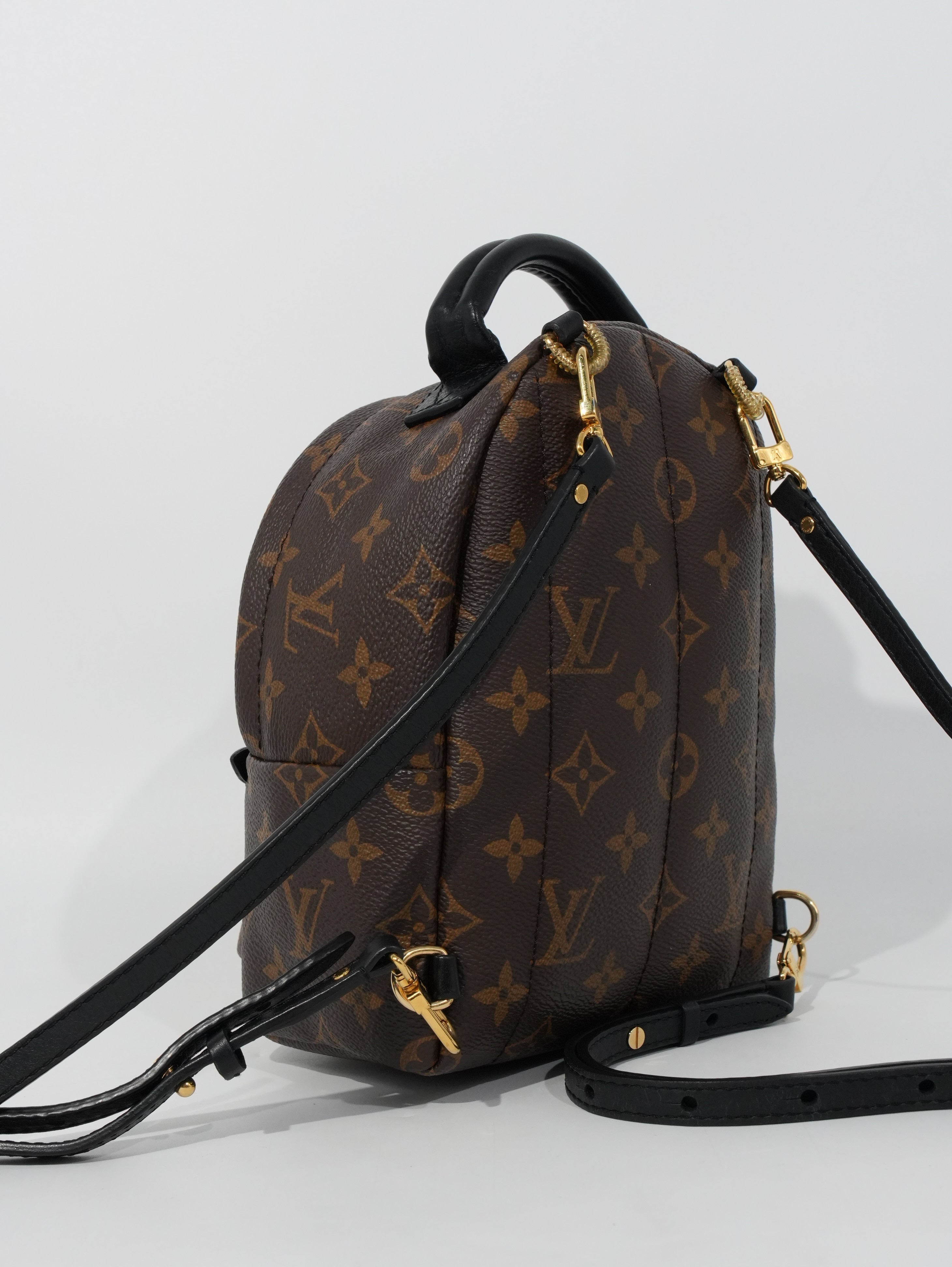 Louis Vuitton Mini Palm Spring