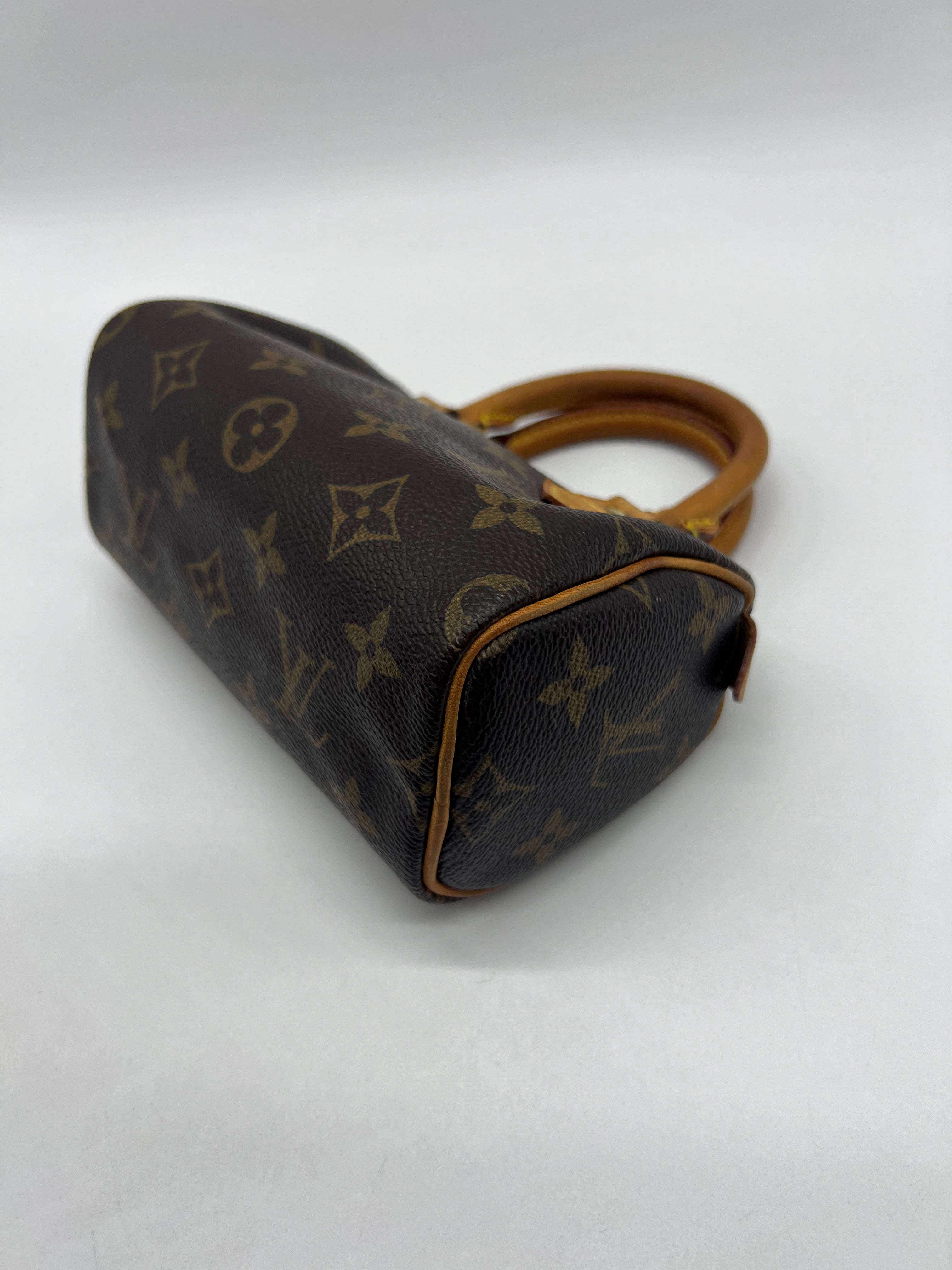 Louis Vuitton Nano Speedy Monogram