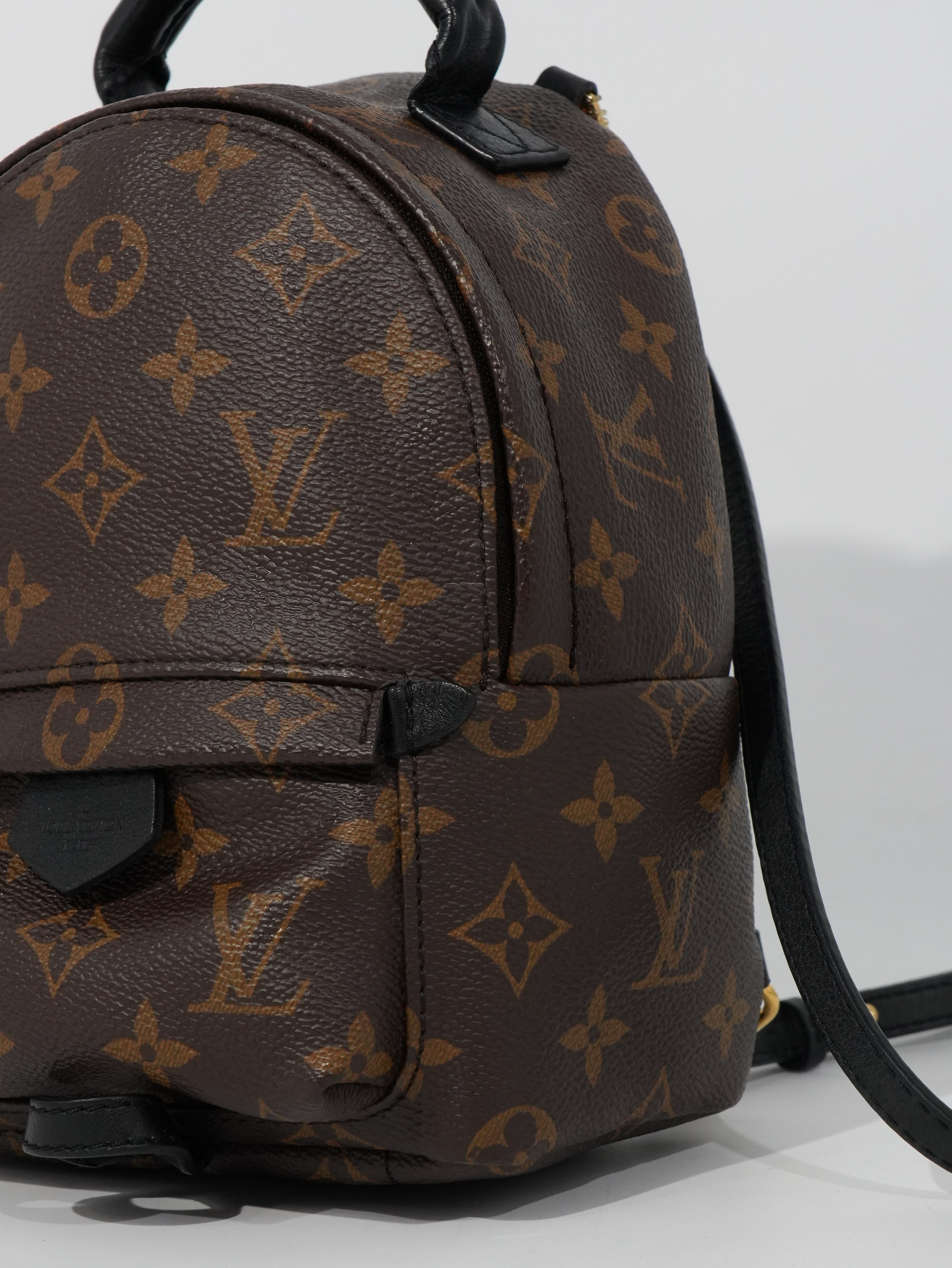 Louis Vuitton Mini Palm Spring