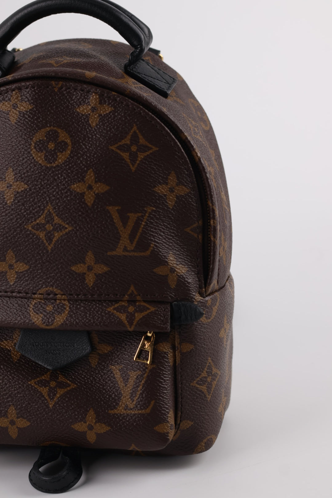 Louis Vuitton Mini Palm Spring Monogram