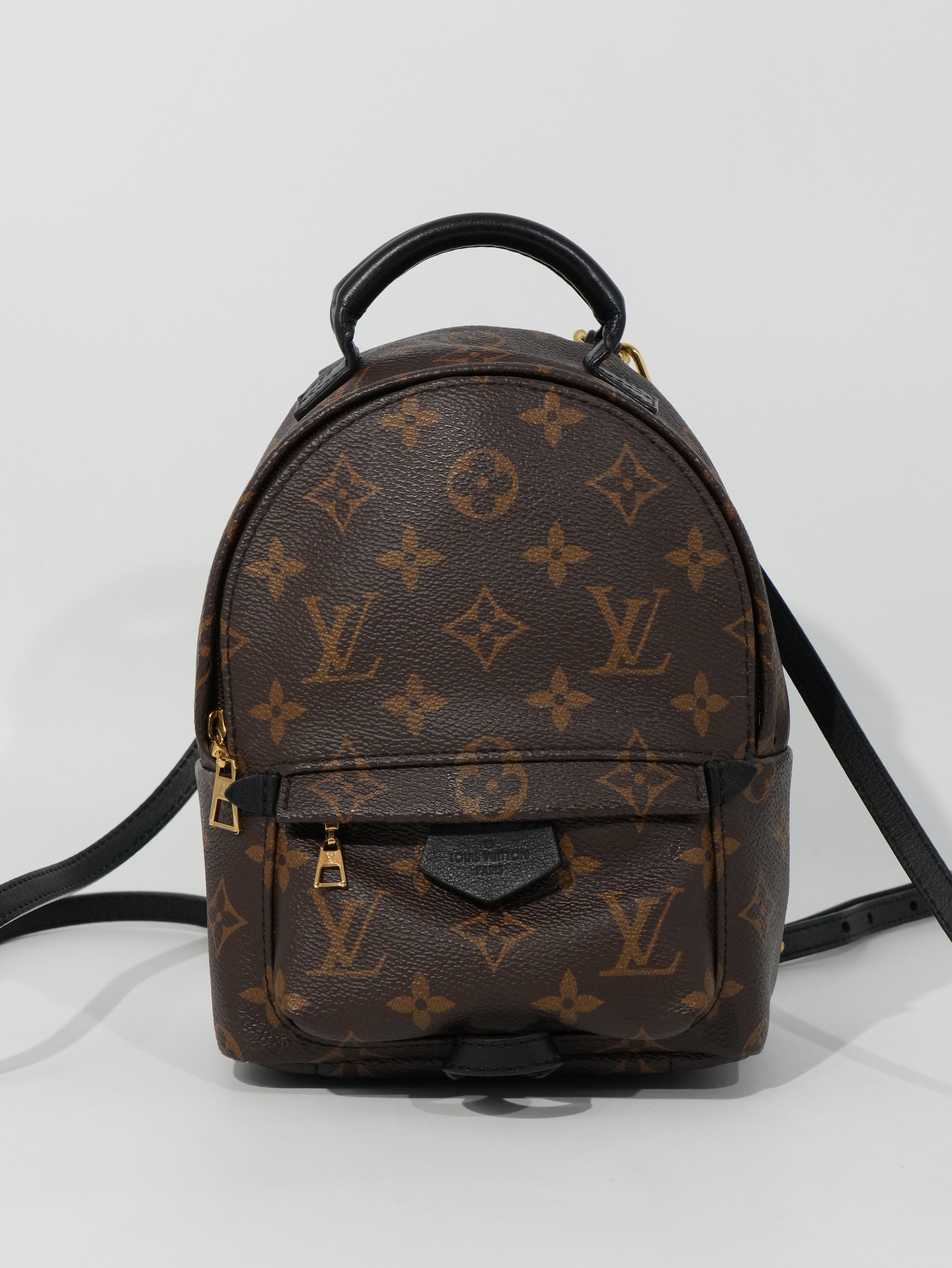 Louis Vuitton Mini Palm Spring