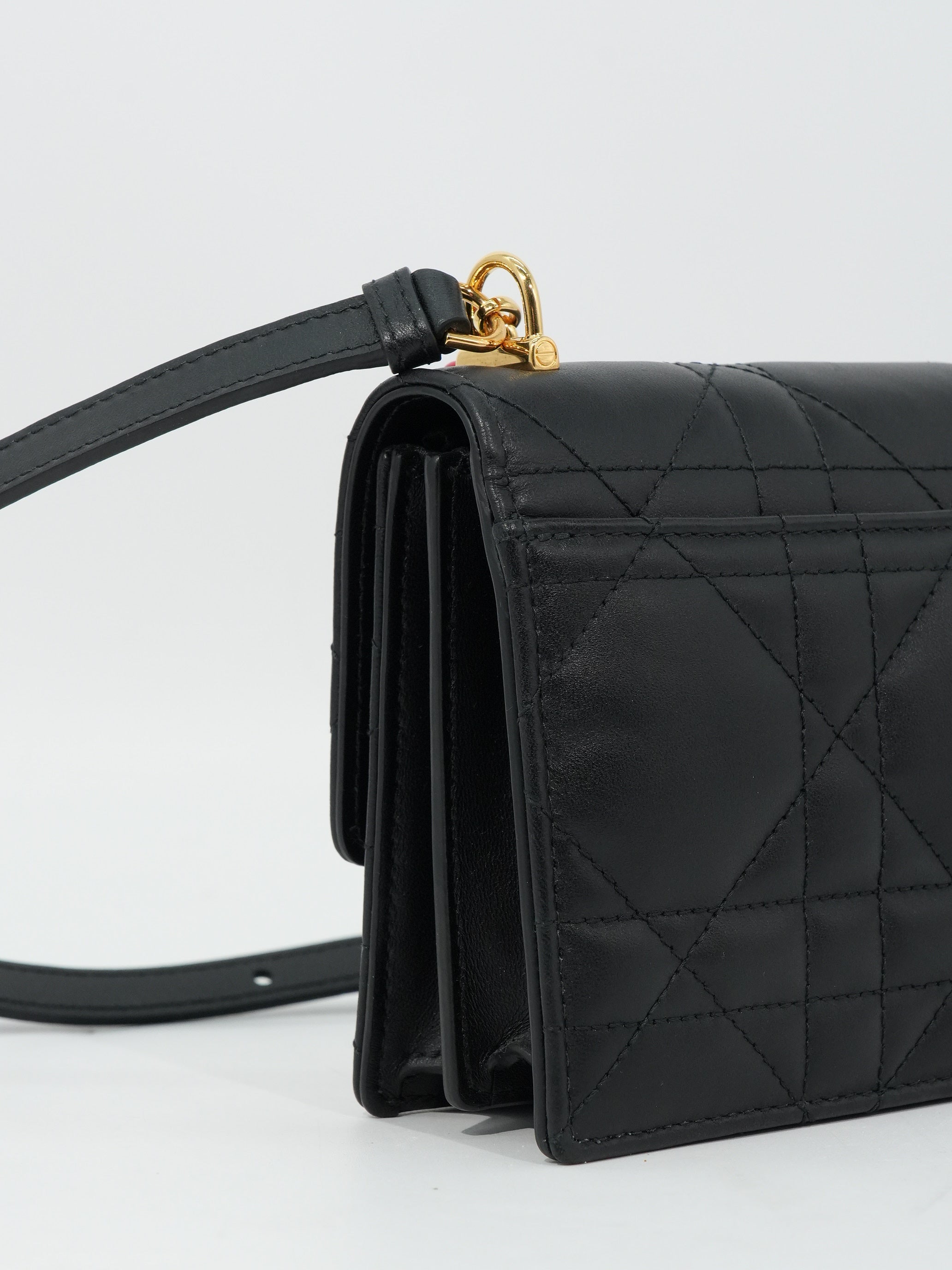 Dior Miss Caro Mini Dioramour