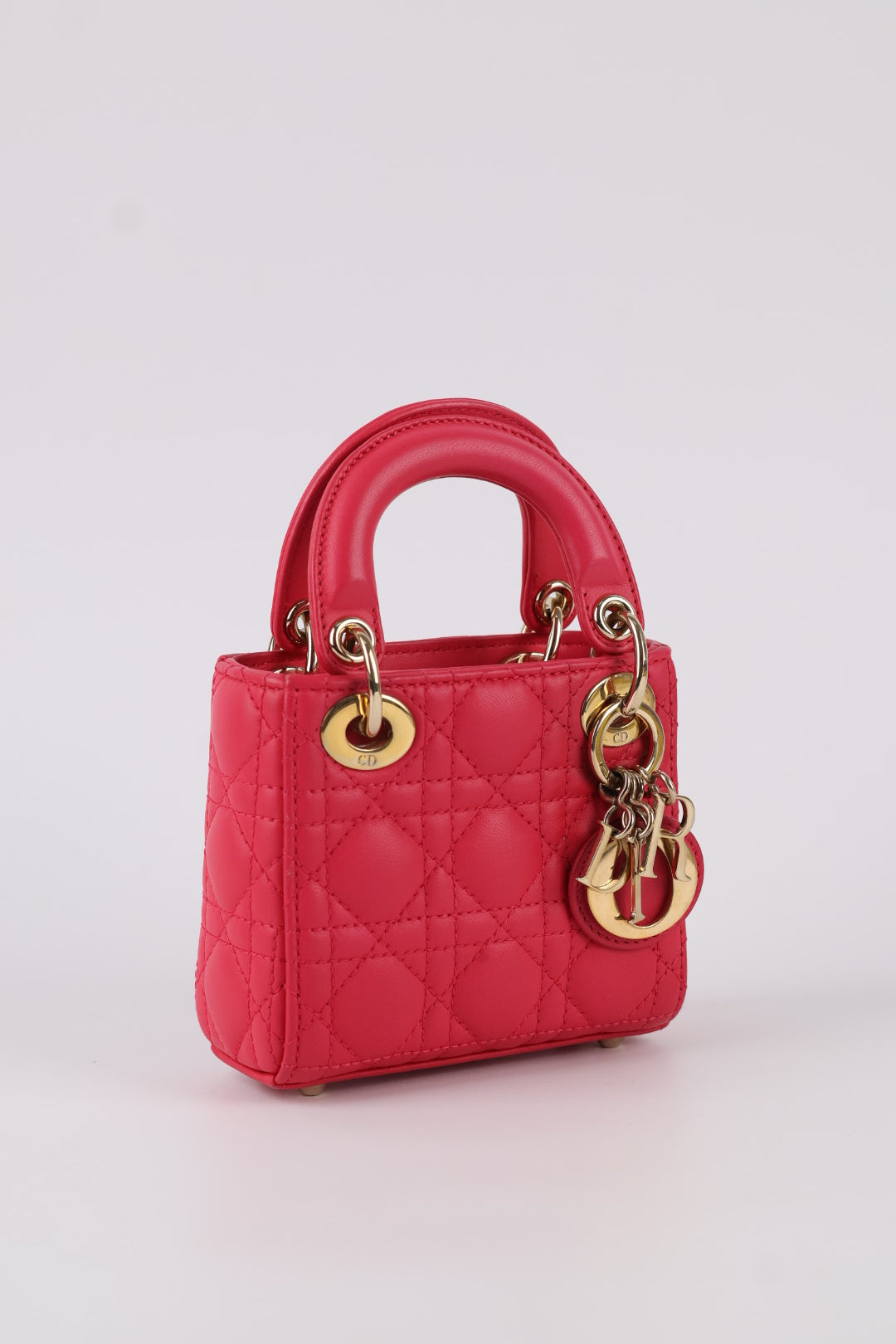 Lady Dior Micro in Pelle